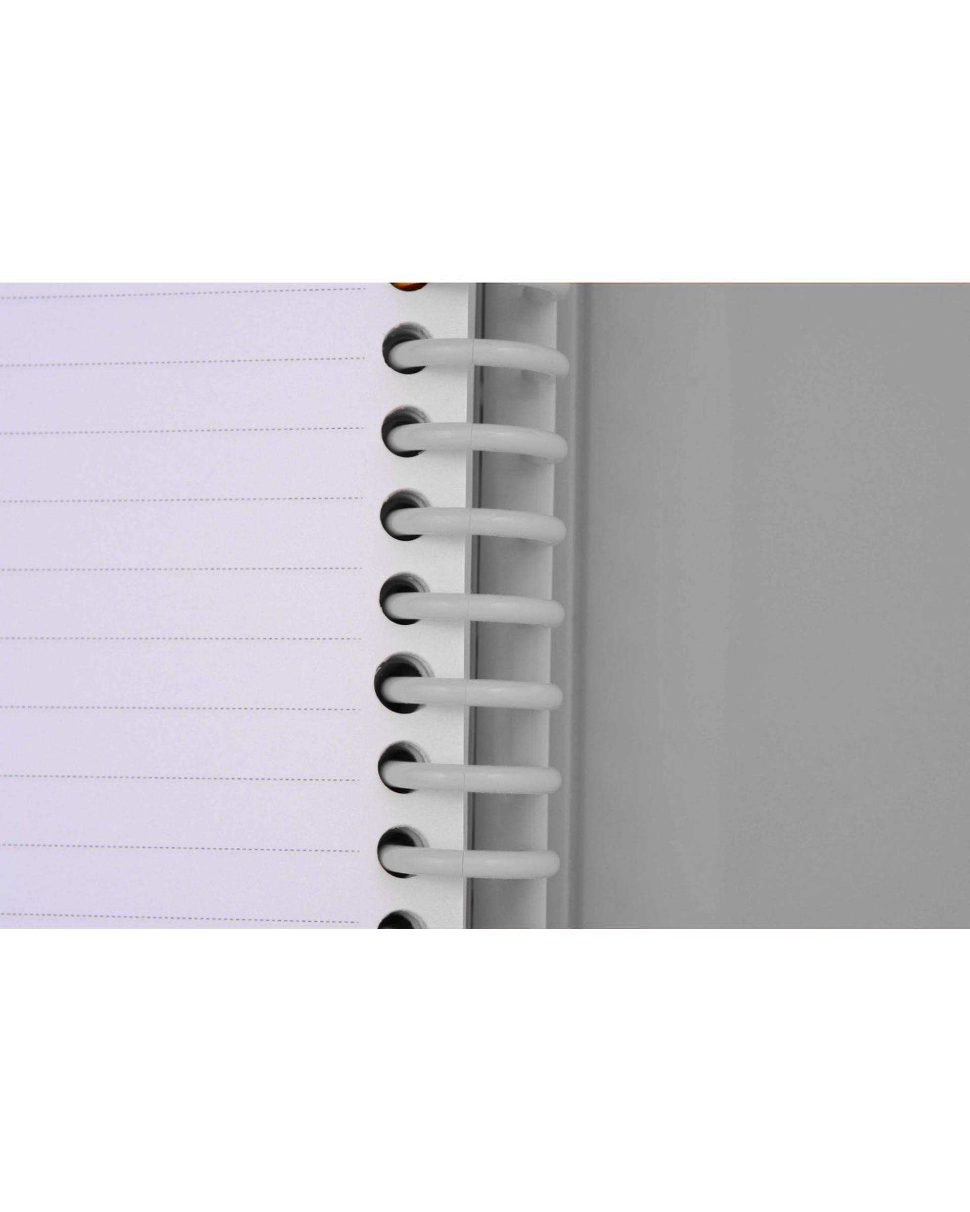 دفتر کلاسوری جیب دار 100 برگ نقره ای پاپکو Papco کد NB-606
