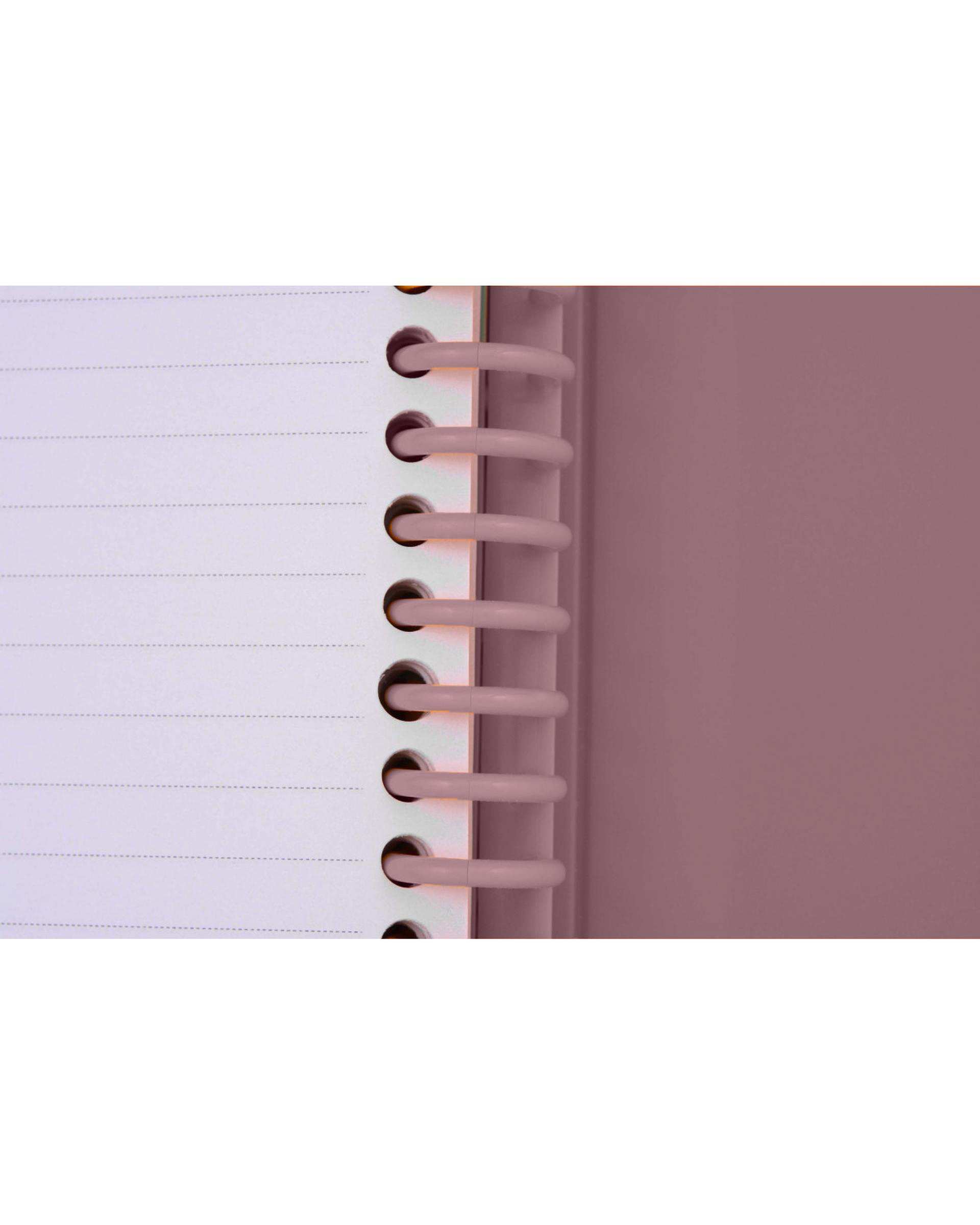 دفتر کلاسوری جیب دار 100 برگ گلبهی پاپکو Papco کد NB-606