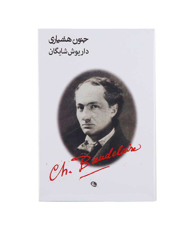جنون هشیاری