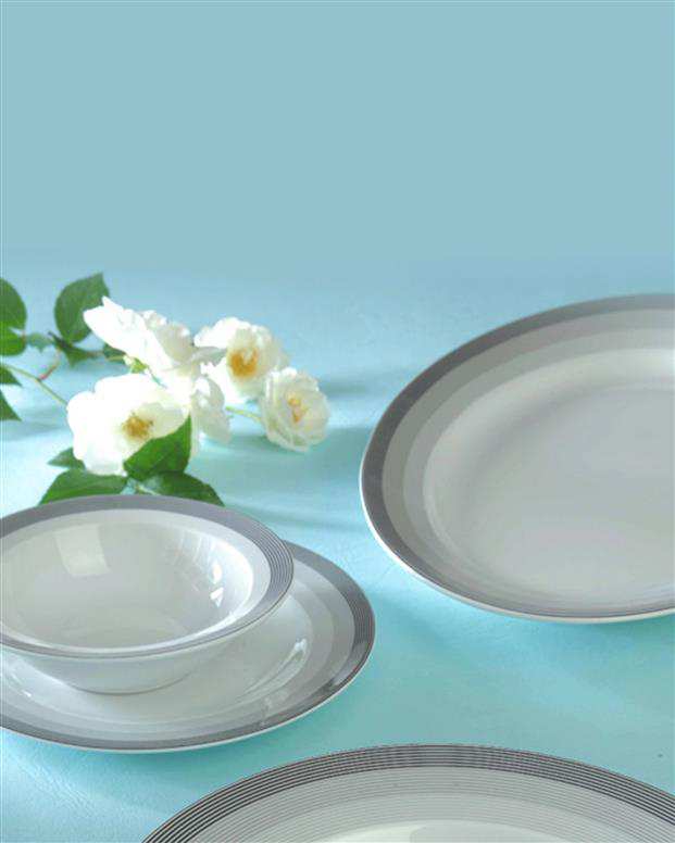 سرویس 28 پارچه سیلورلاینر عالی چینی زرین