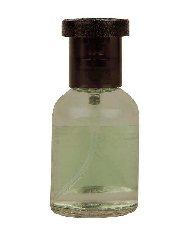 ادوکلن با رایحه مردانه 60ml rocky mountain wood Chich