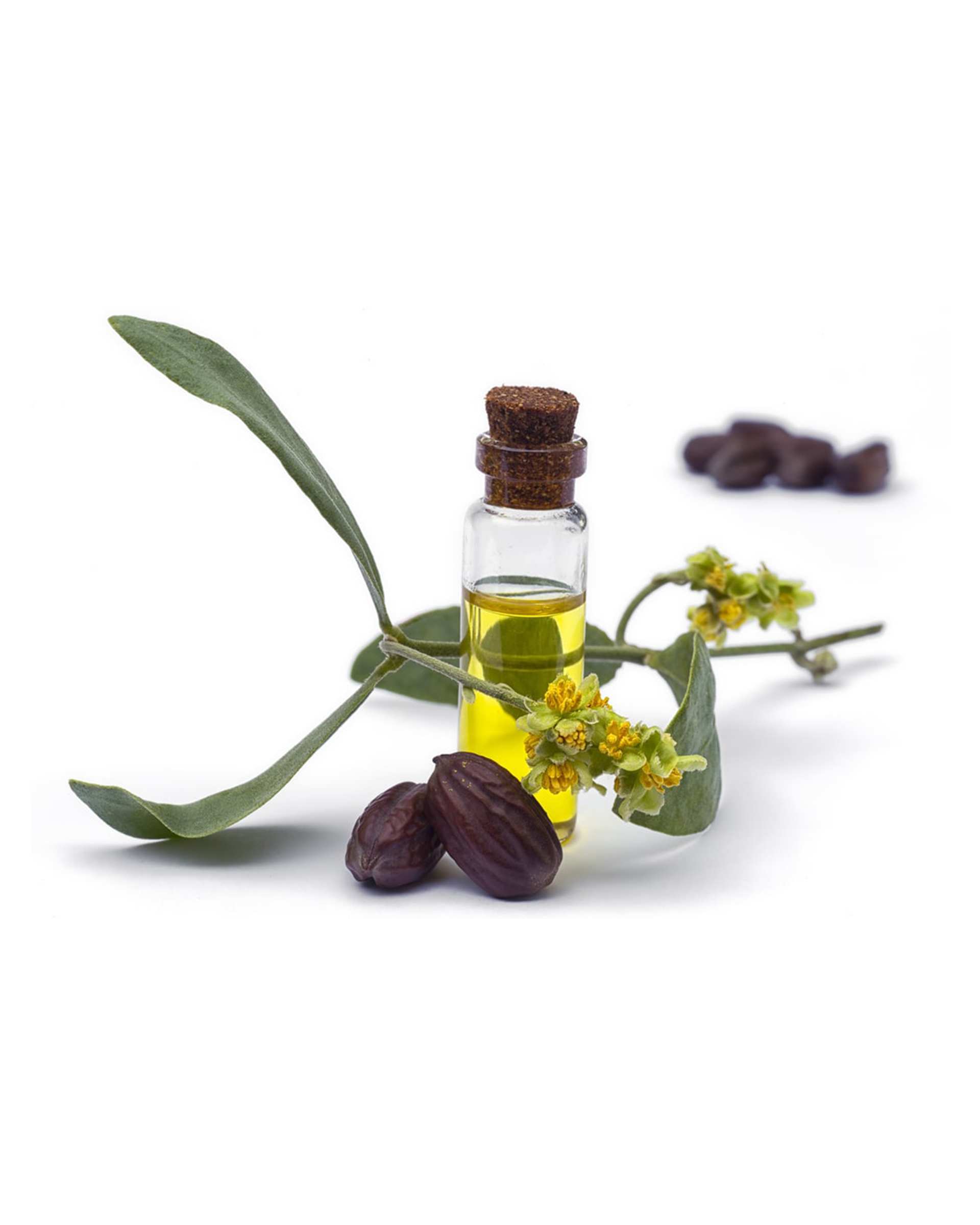 روغن جوجوبا گیاه قانون Ghanoon Herb حجم 30ml