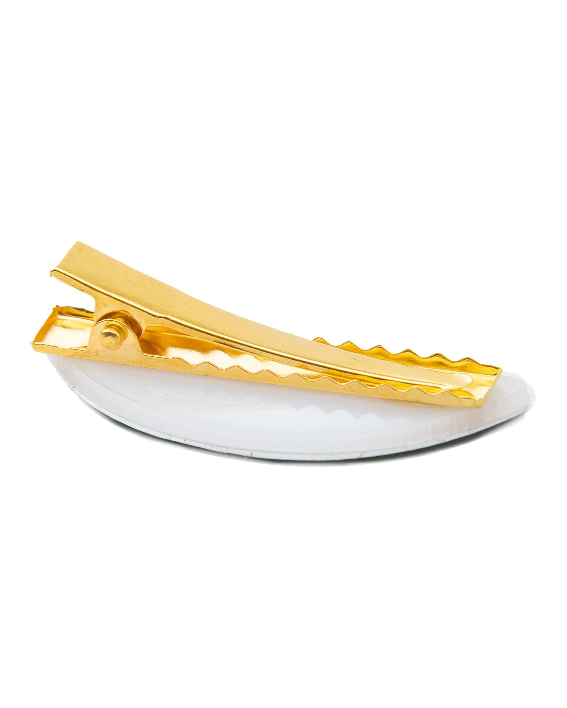گیره مو دلربا Delroba طرح هندوانه کد 02