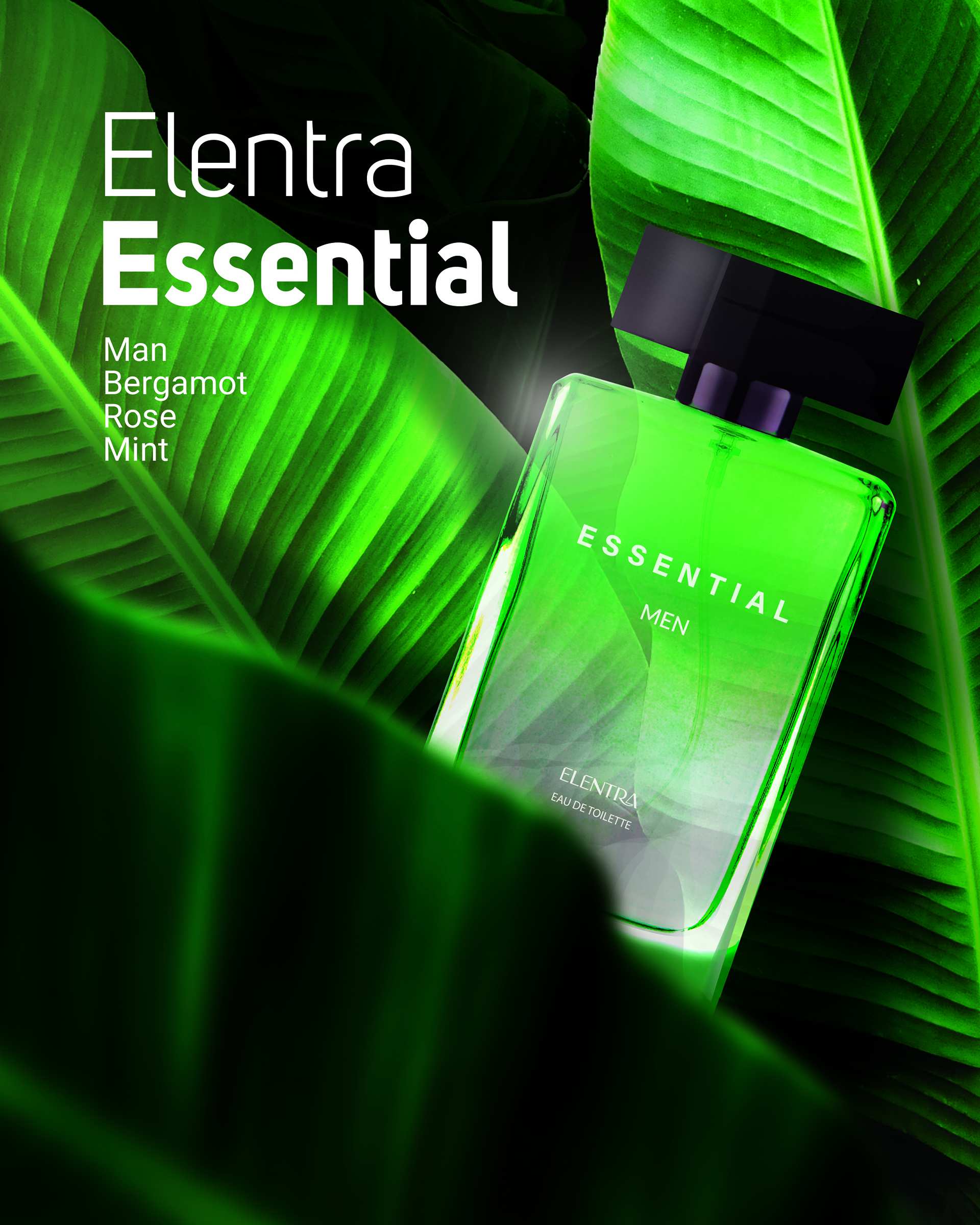 عطر مردانه النترا Essential EDT 100ml Elentra