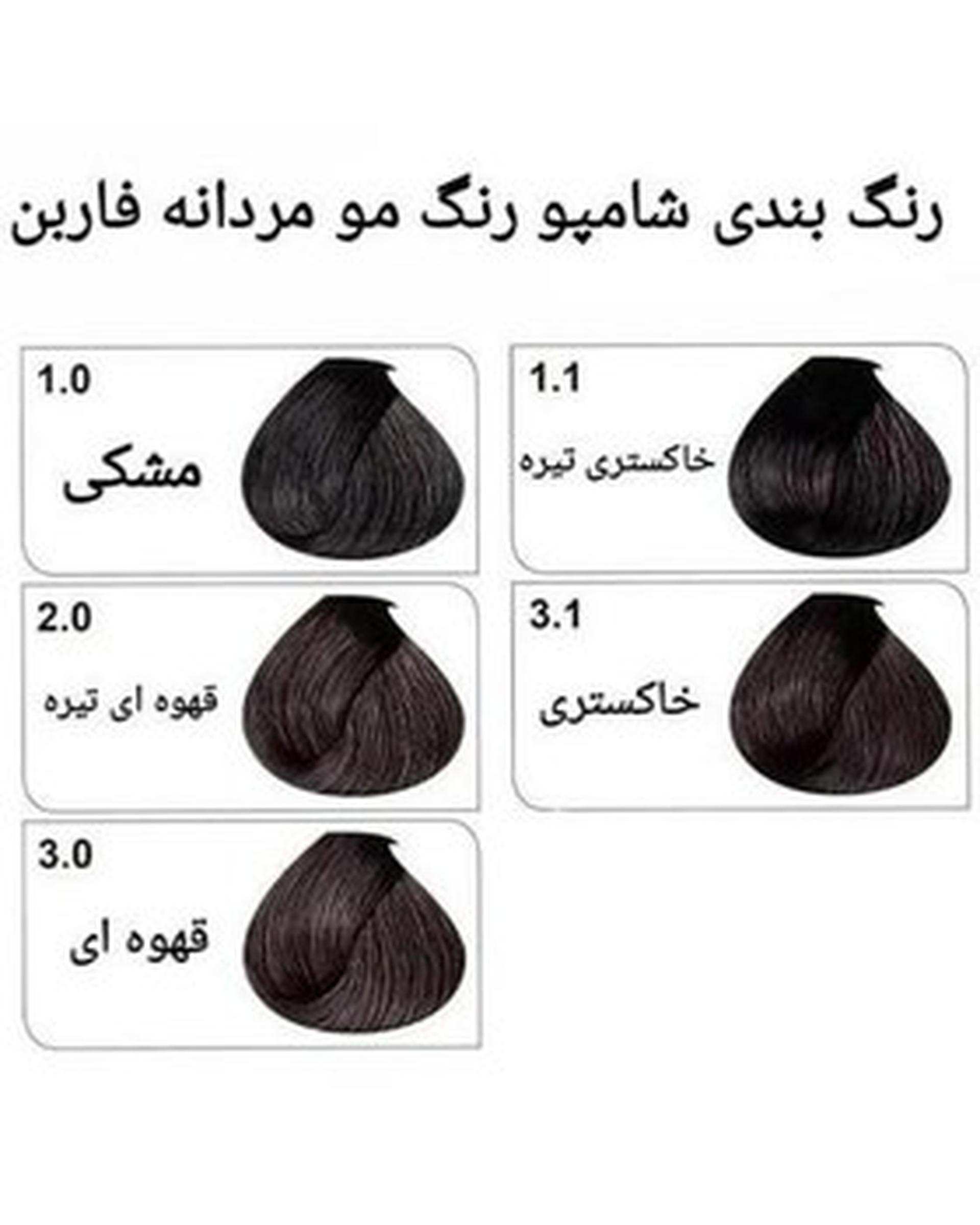 رنگ موی مردانه فاربن Farben رنگ قهوه ای تیره شماره 2.0