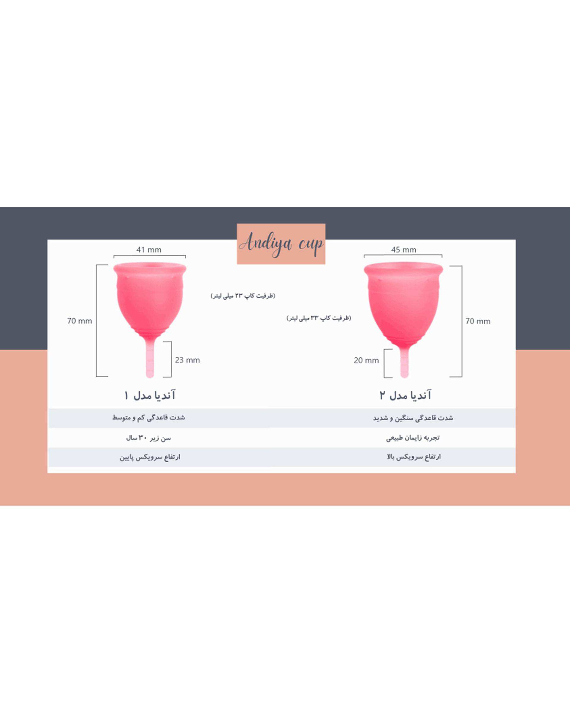 کاپ قاعدگی بنفش آندیا Andiya مدل Double سایز کوچک و متوسط مجموعه 2 عددی