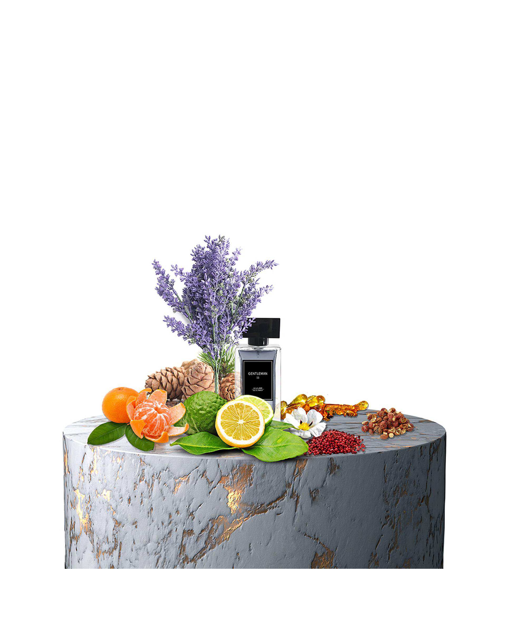 عطر جیبی مردانه لالالند LaLa Land مدل Gentelman 11 حجم Dior Sauvage) 30ml)