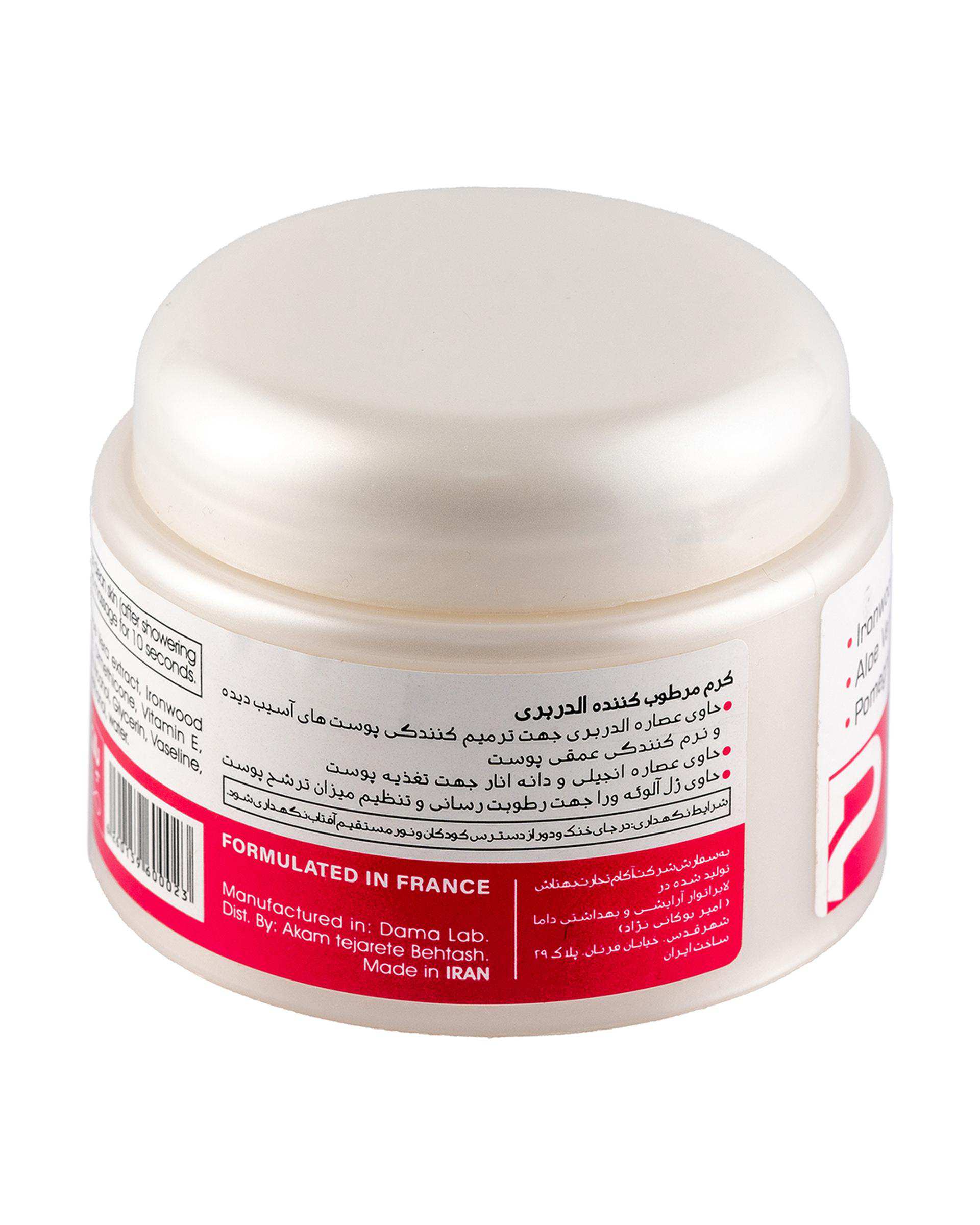 کرم مرطوب کننده دست و صورت پالتا Paletta مدل ElderBerry مناسب پوست چرب حجم 100ml