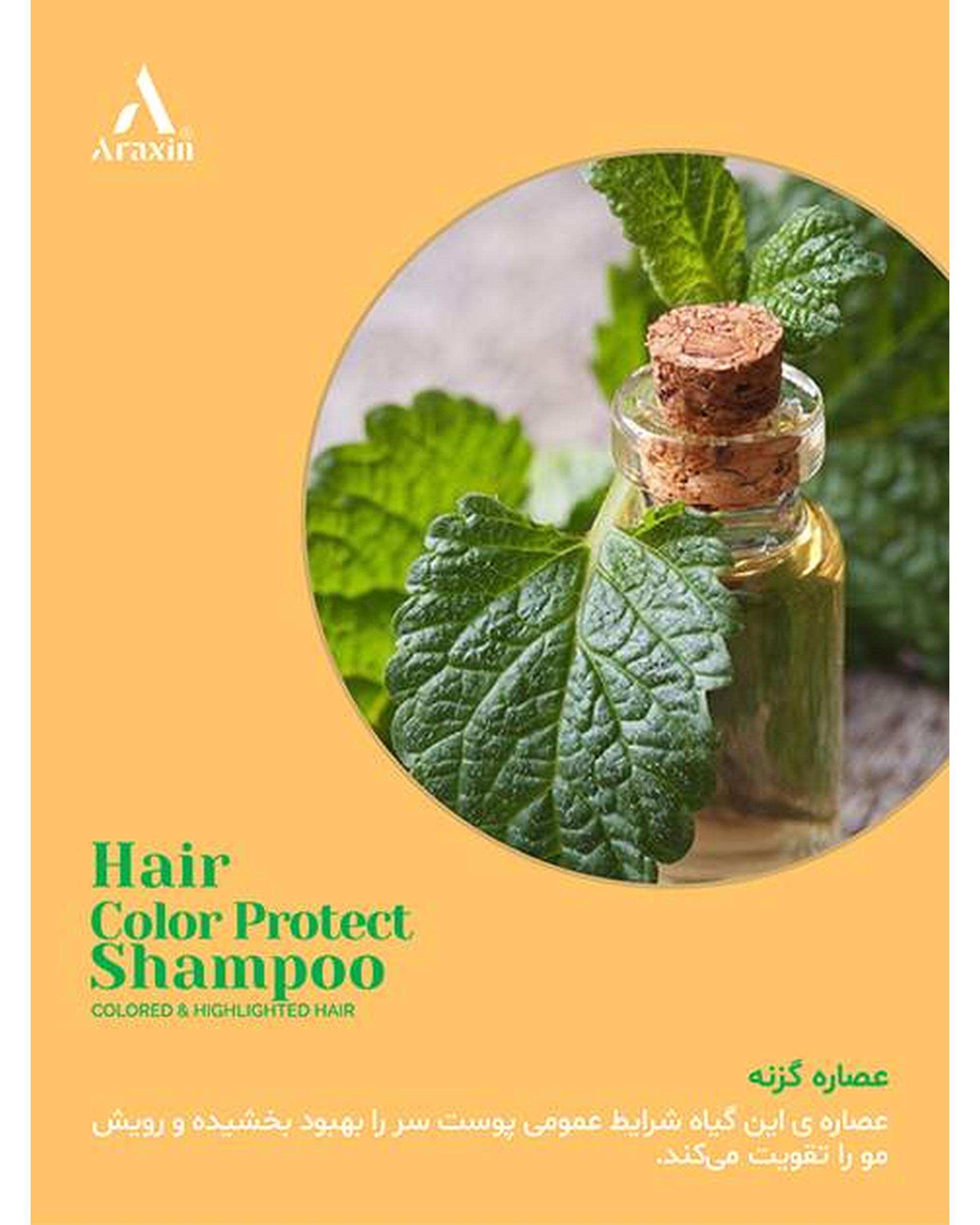 شامپو تخصصی تثبیت کننده رنگ و ضد ریزش مو آراکسین Araxin مناسب موهای رنگ شده و آسیب دیده 175ml