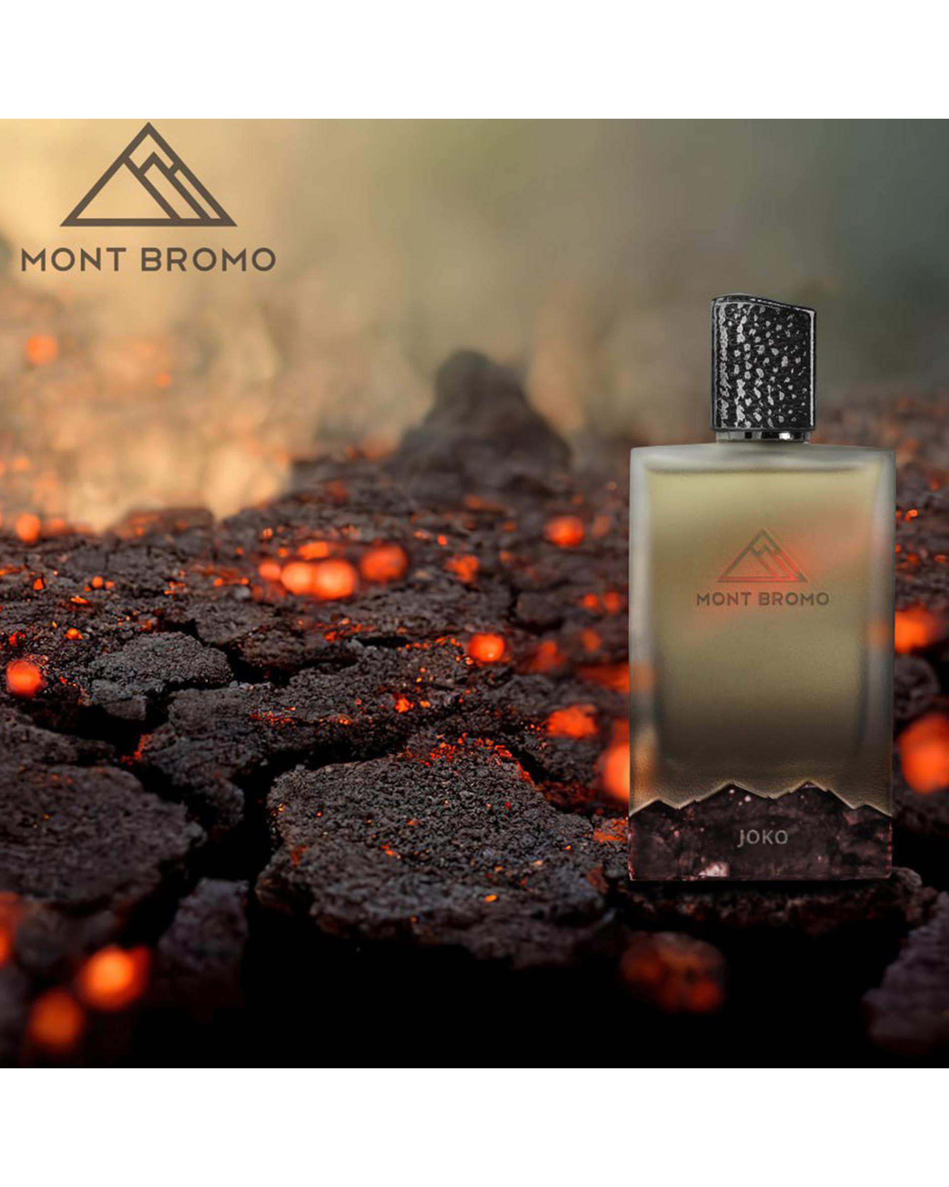عطر مردانه مونت برومو Mont Bromo مدل جکو 100ml