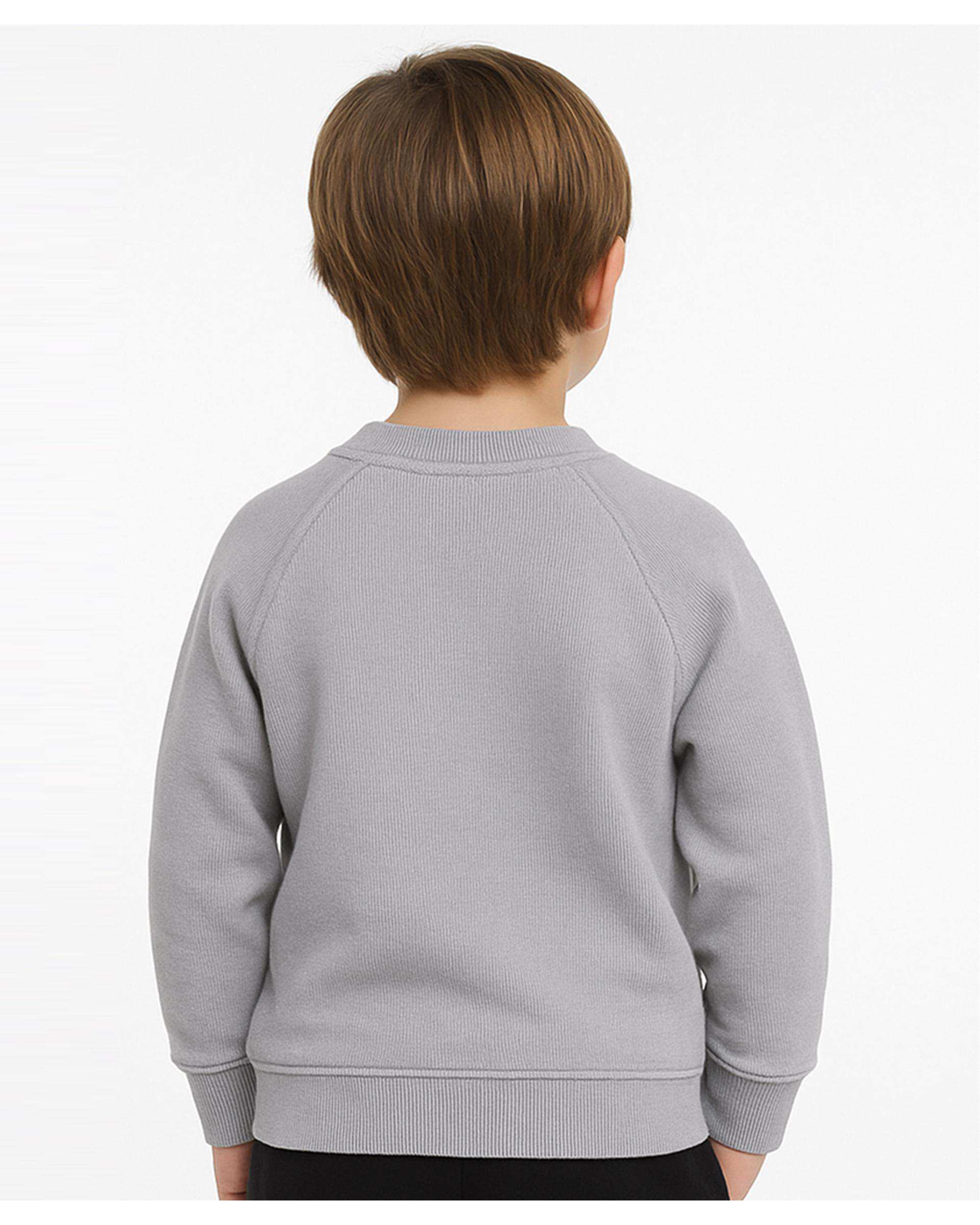 سویشرت پسرانه طوسی مرینو Merino کد 1774