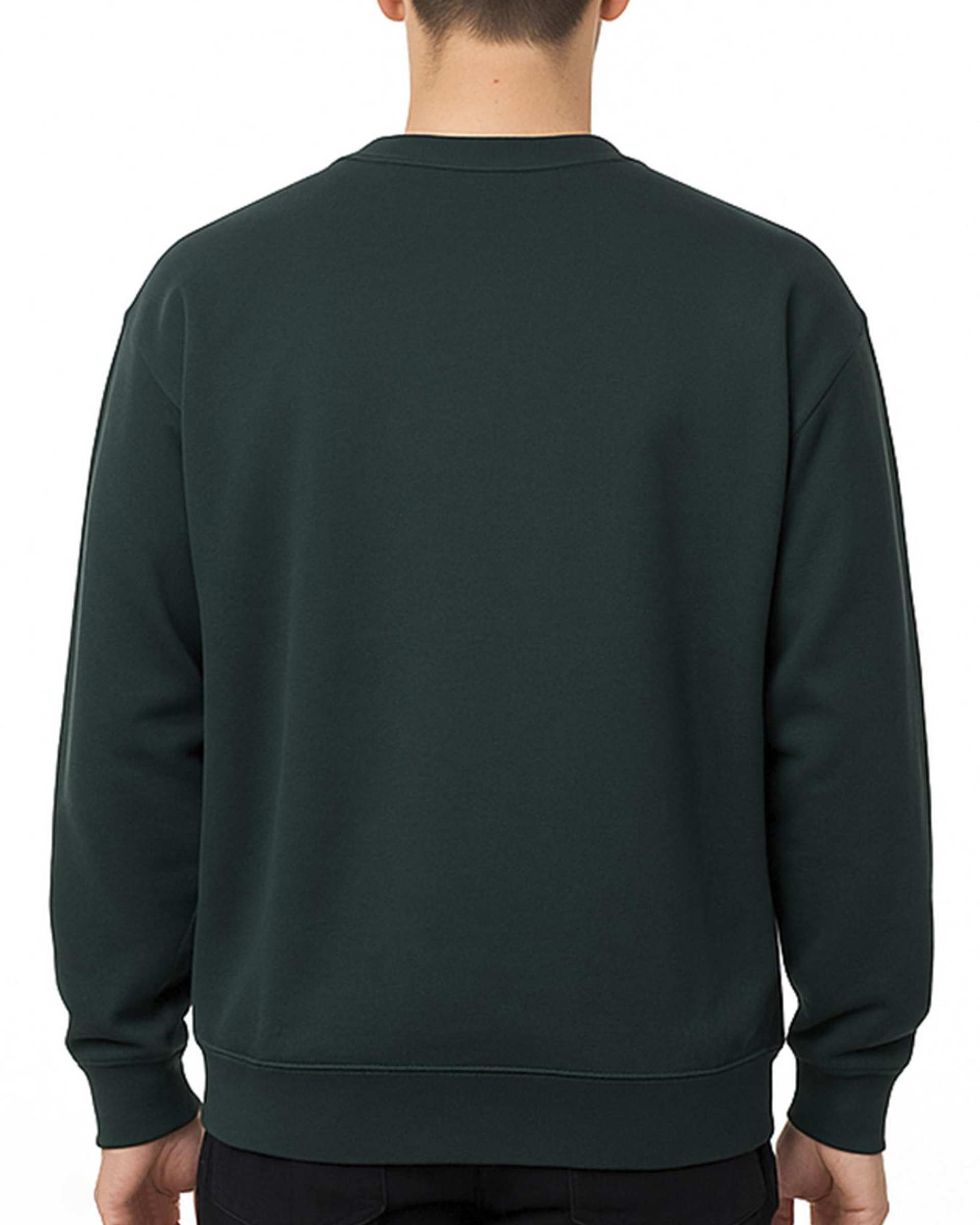 سویشرت مردانه سبز فدیکو Fedyco کد 1032509