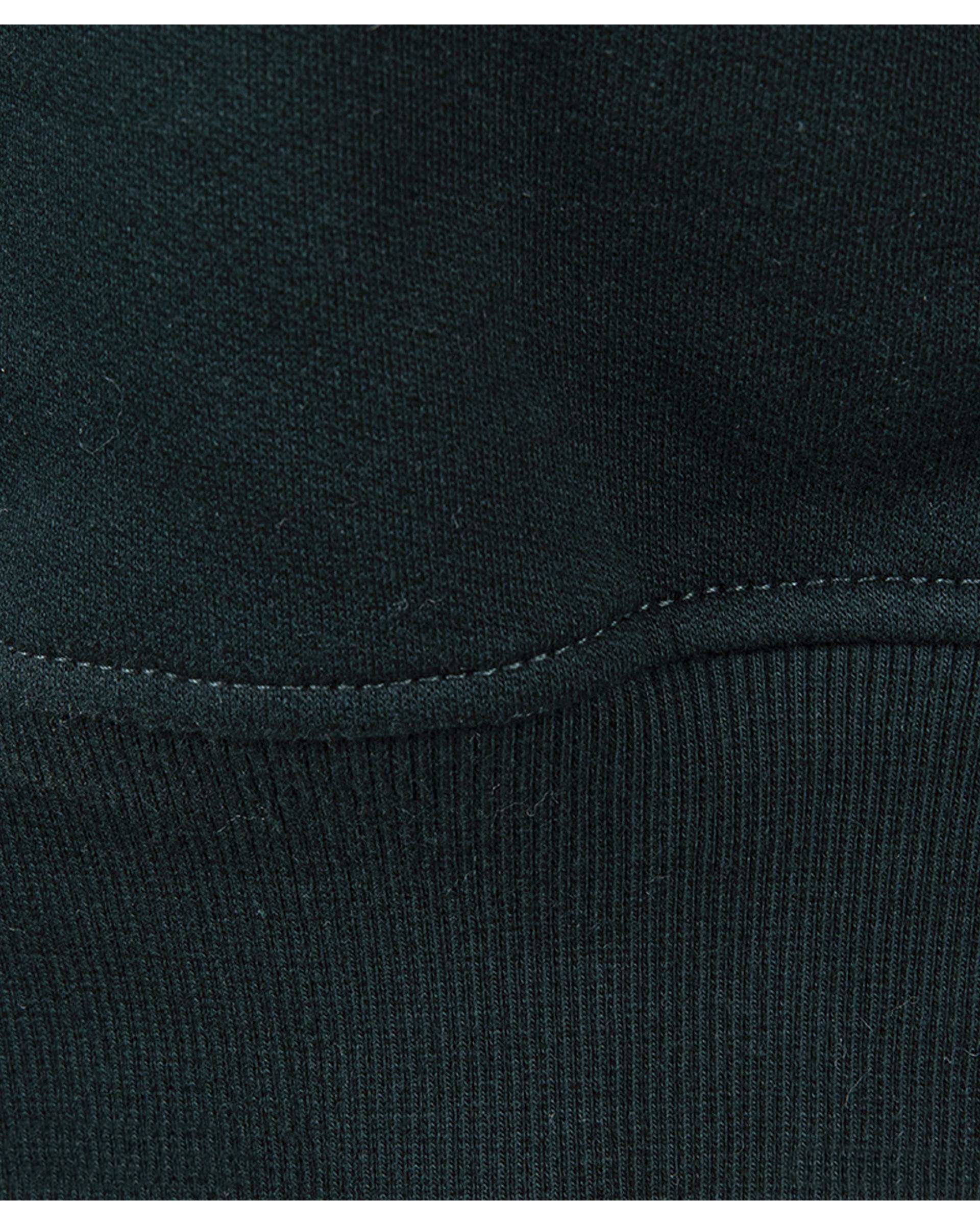 سویشرت مردانه سبز فدیکو Fedyco کد 1032509