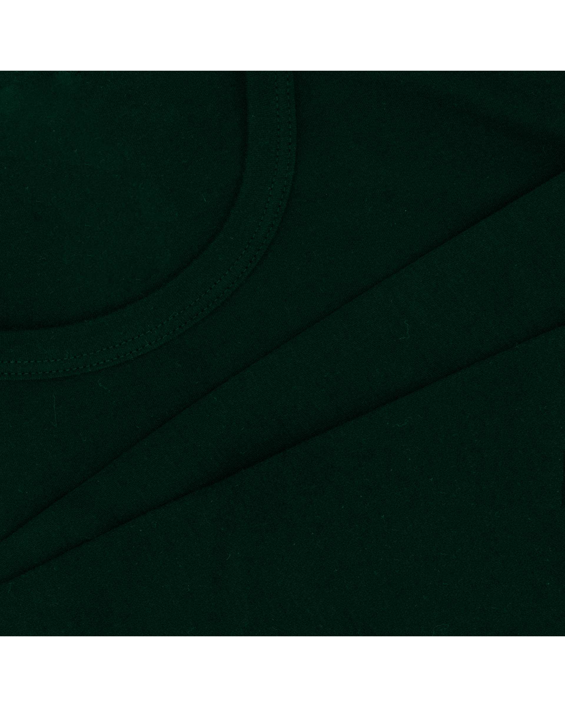 تیشرت مردانه آستین بلند سبز یشمی آماهی Amahi کد ATLYS9