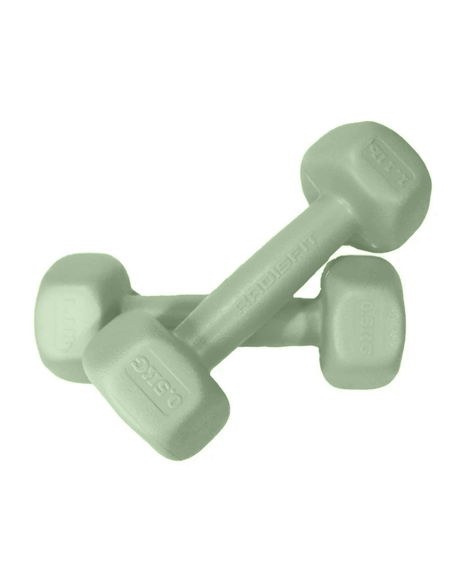 دمبل 0.5 کیلوگرمی آبی یخی رادیس فیت Radisfit مدل RPHF-500 بسته 2 عددی