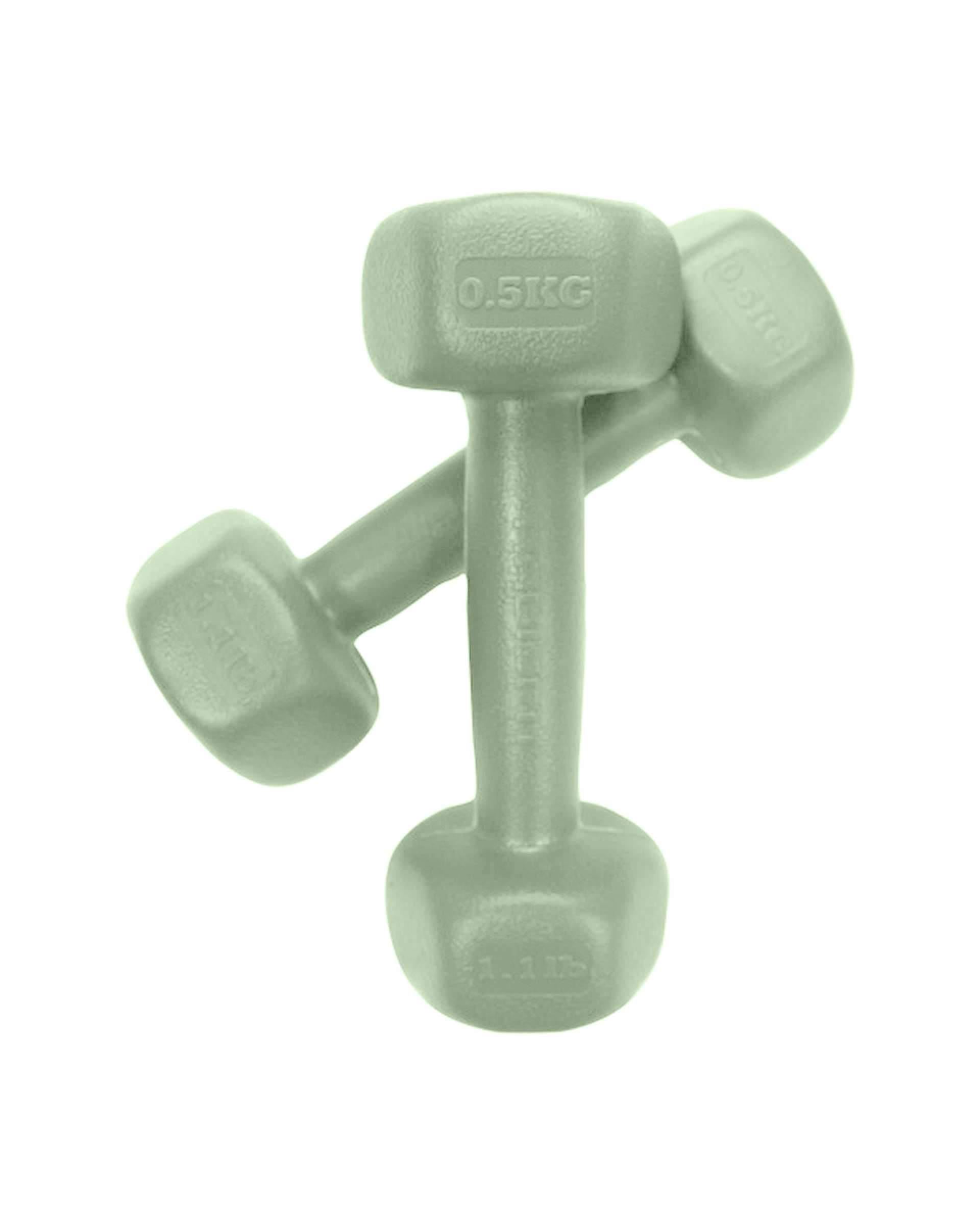 دمبل 0.5 کیلوگرمی آبی یخی رادیس فیت Radisfit مدل RPHF-500 بسته 2 عددی