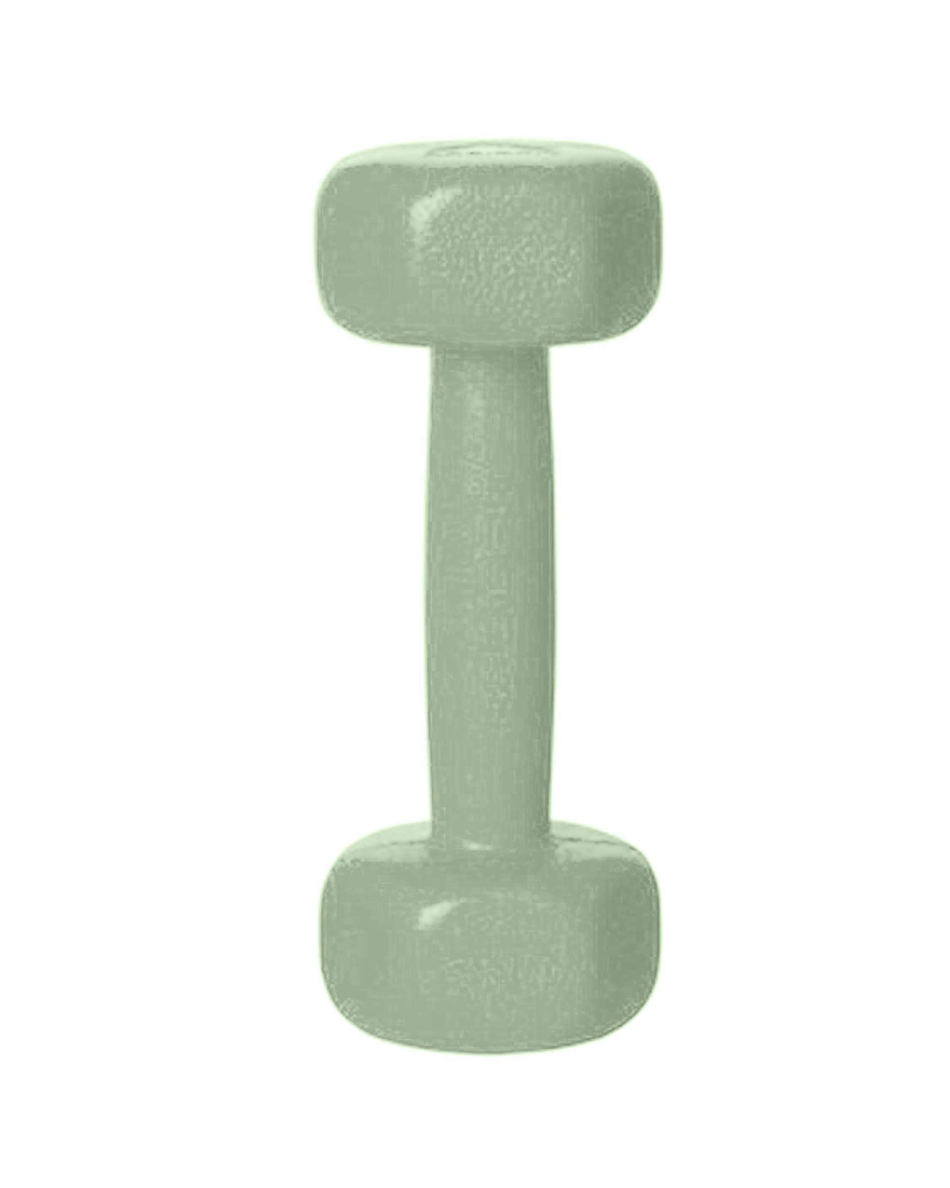 دمبل 0.5 کیلوگرمی آبی یخی رادیس فیت Radisfit مدل RPHF-500 بسته 2 عددی