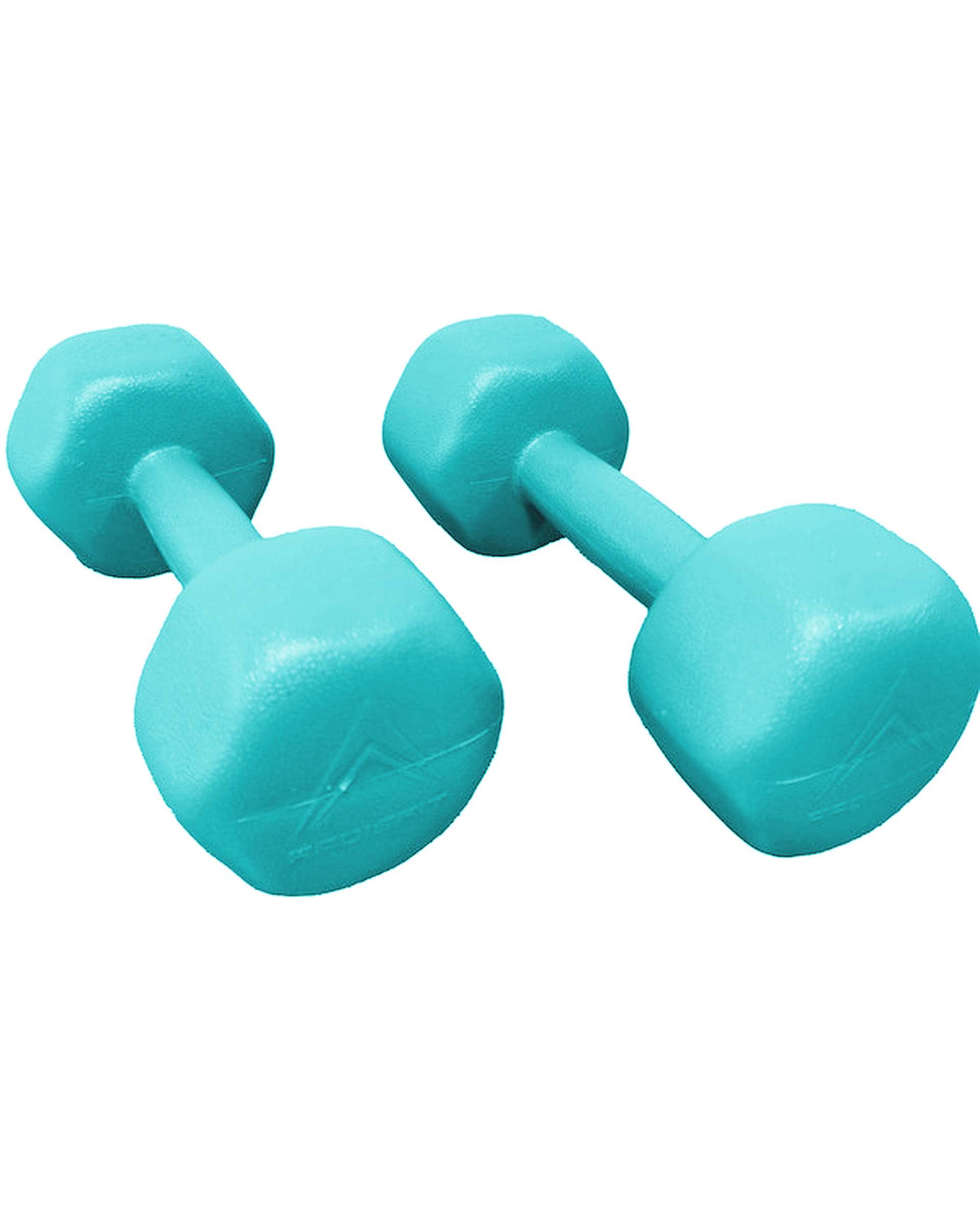 دمبل 2 کیلوگرمی آبی فیروزه ای رادیس فیت Radisfit مدل RPHF-2000 بسته 2 عددی
