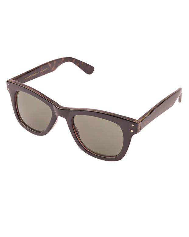 عینک آفتابی Allen Black Tortoise Komono