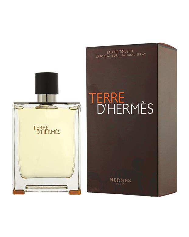 عطر مردانه 100ml Terre D'Hermes EDT Hermes