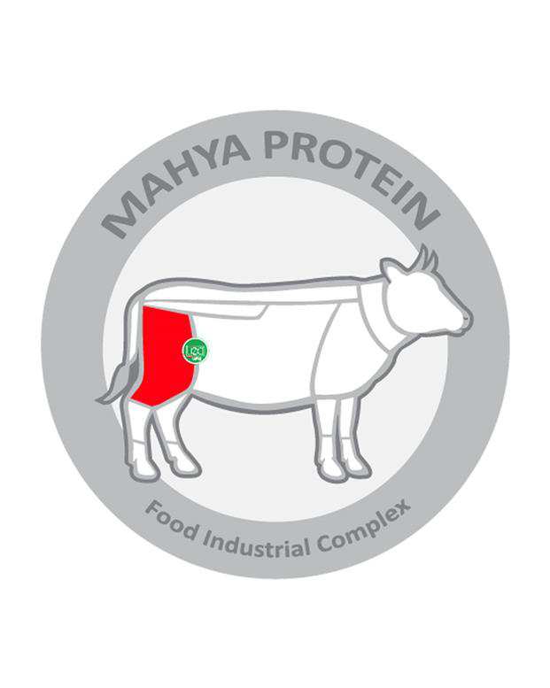 گوشت خورشتی گوساله 800 گرمی مهیا پروتئین