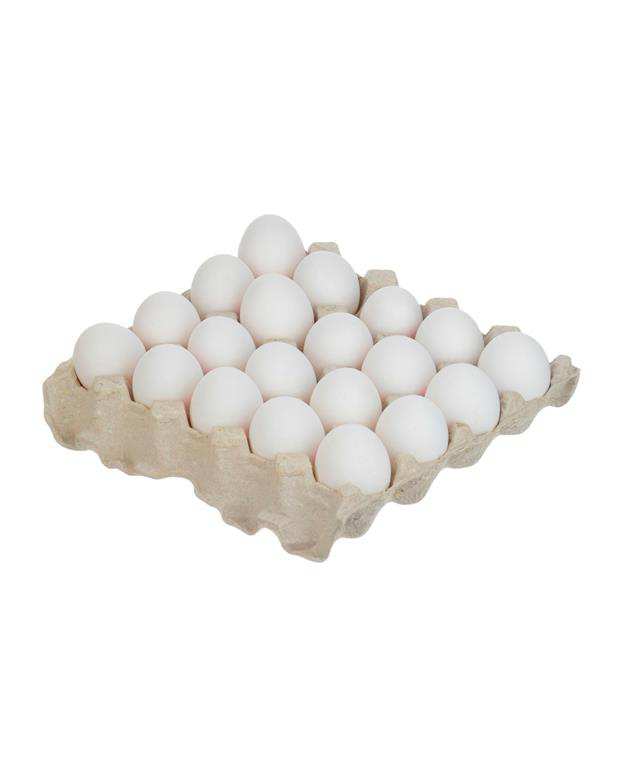 شانه 20 عددی تخم مرغ درپوش دار تلاونگ