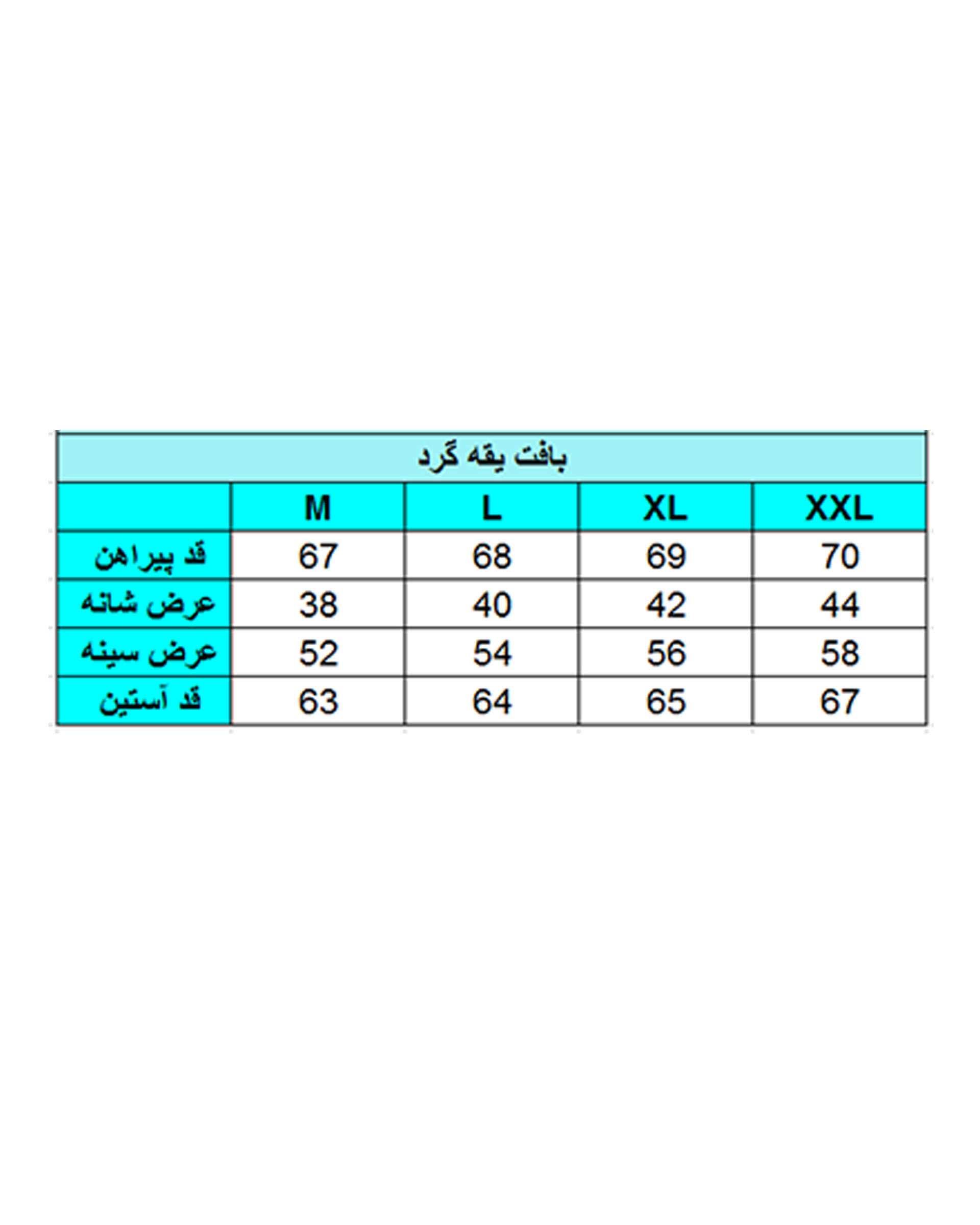 پلیور مردانه یقه گرد زغالی پائولو مارتینی