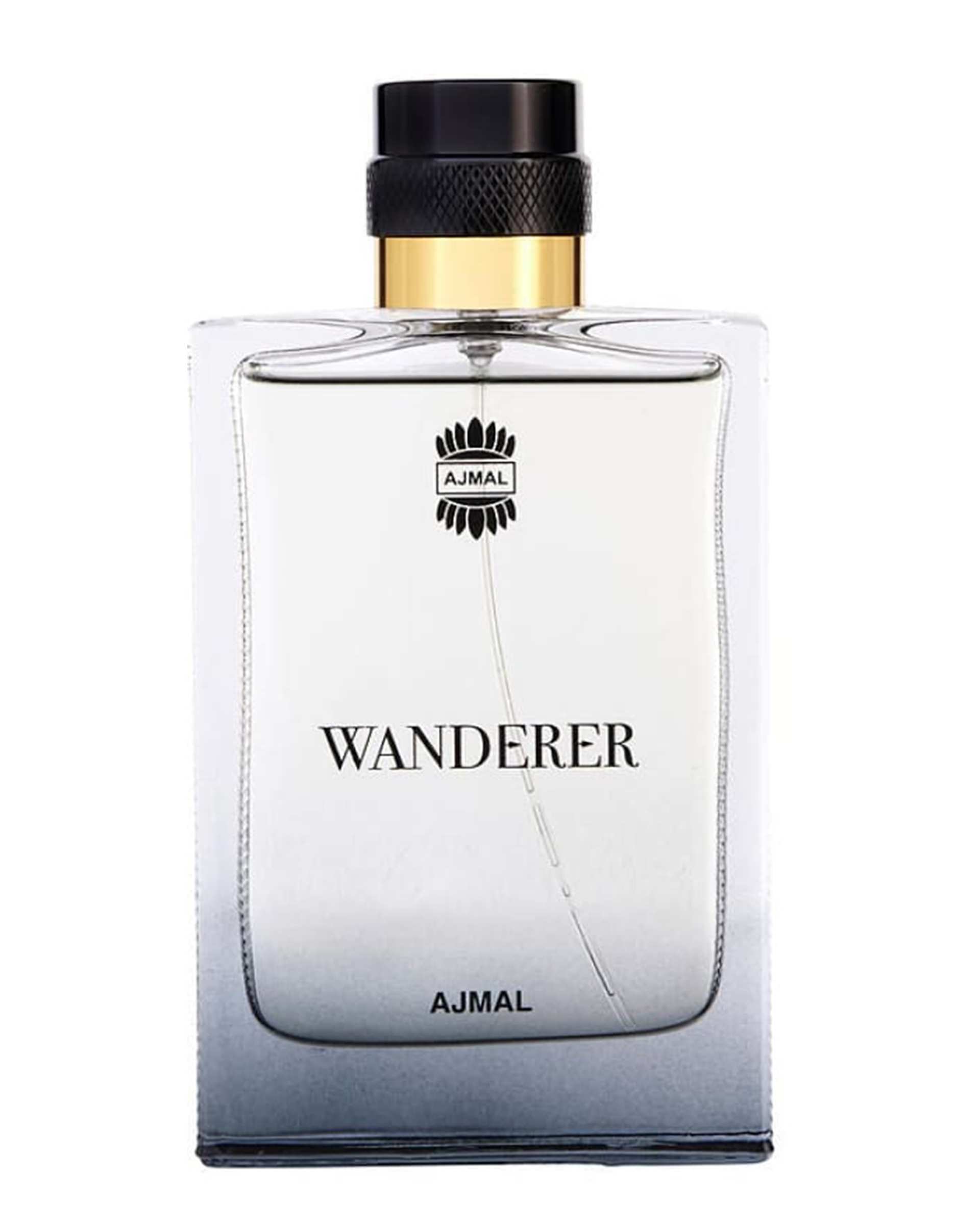 عطر مردانه Wanderer EDP اجمل 100ml