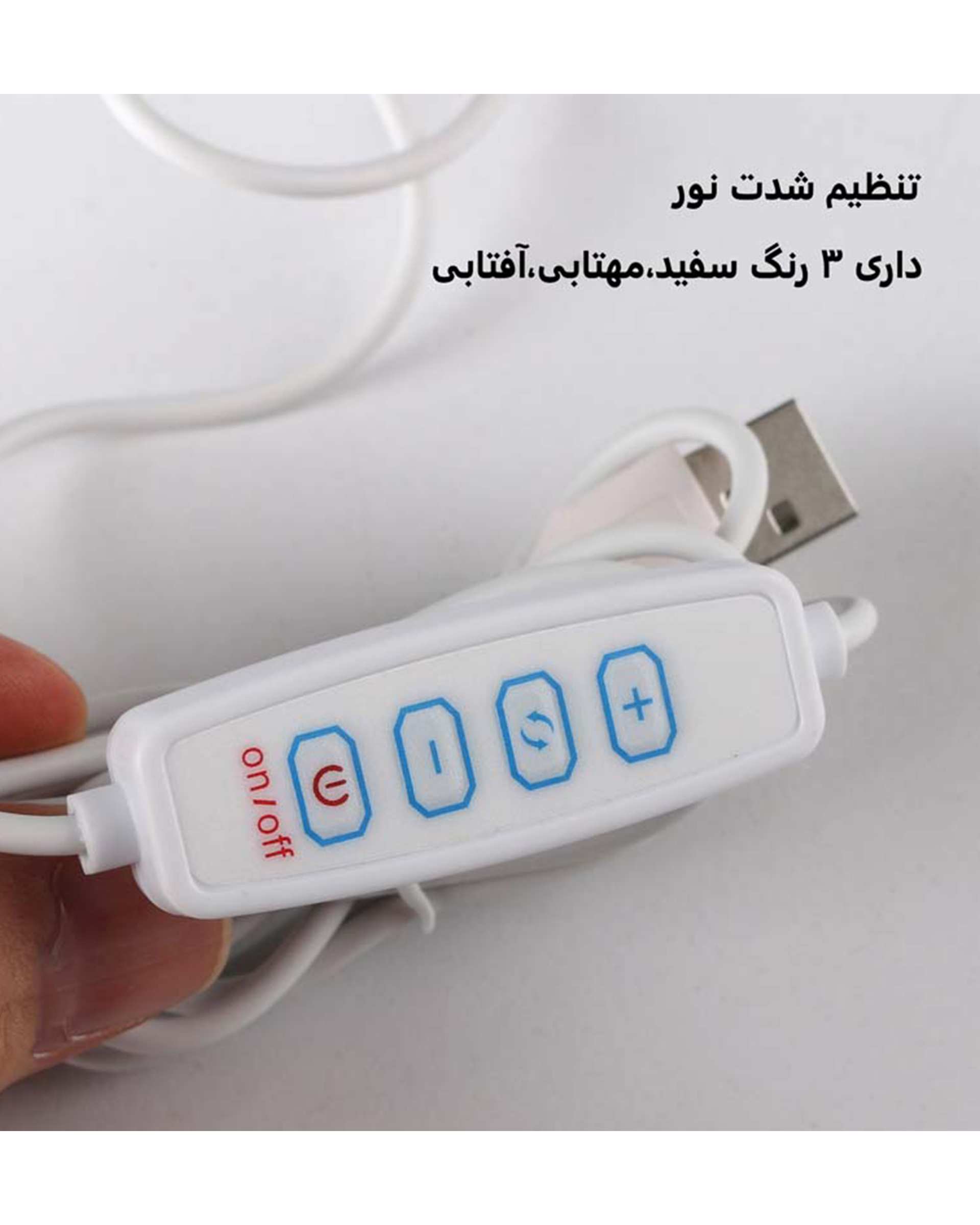 آینه دلفین Dolphin مدل هالیوودی کد HL-R-8050  