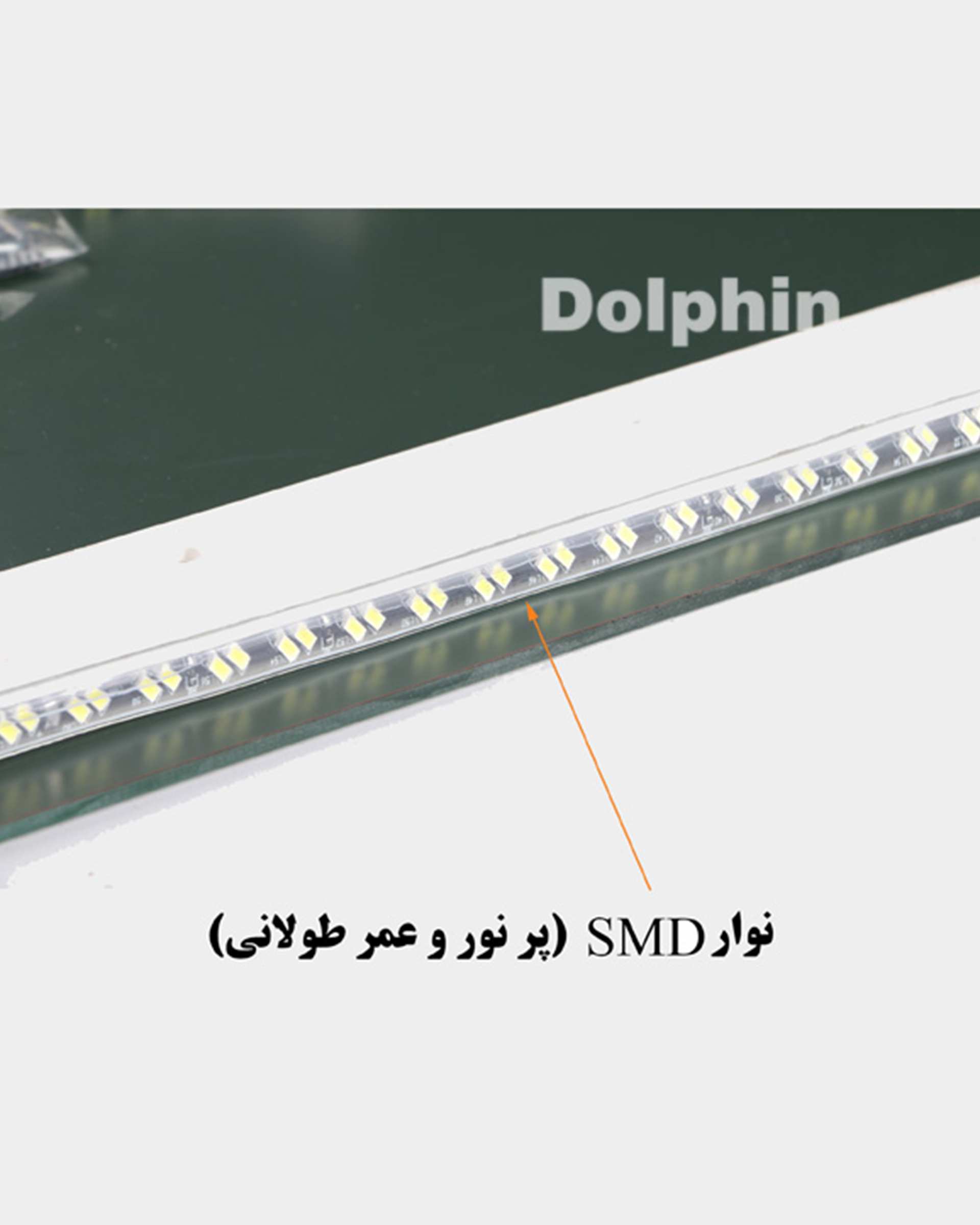 آینه آفتابی دلفین Dolphin مدل N-R-6040  