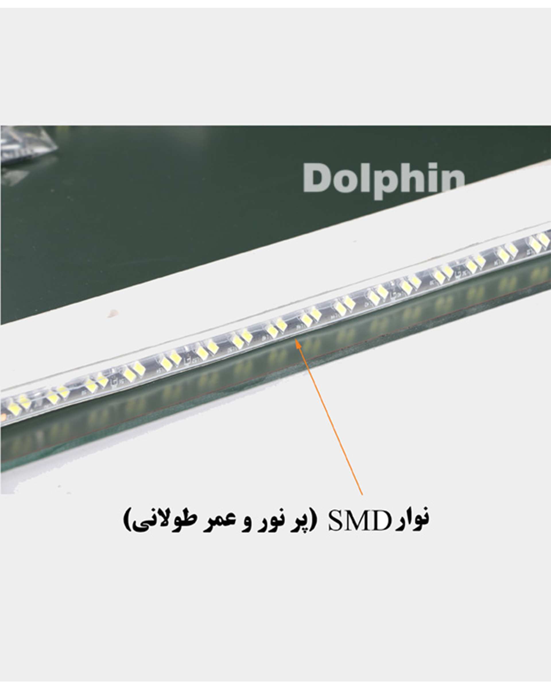 آینه نوری آفتابی دلفین Dolphin مدل N-R-6050 