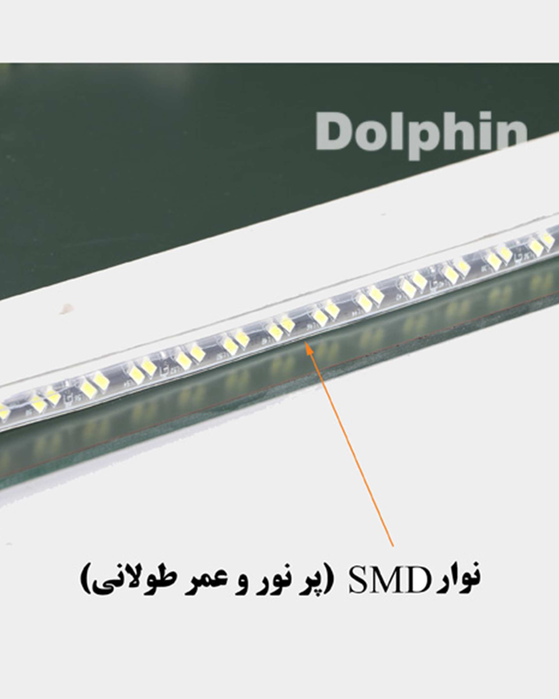 آینه آفتابی دلفین Dolphin مدل N-R-7050  