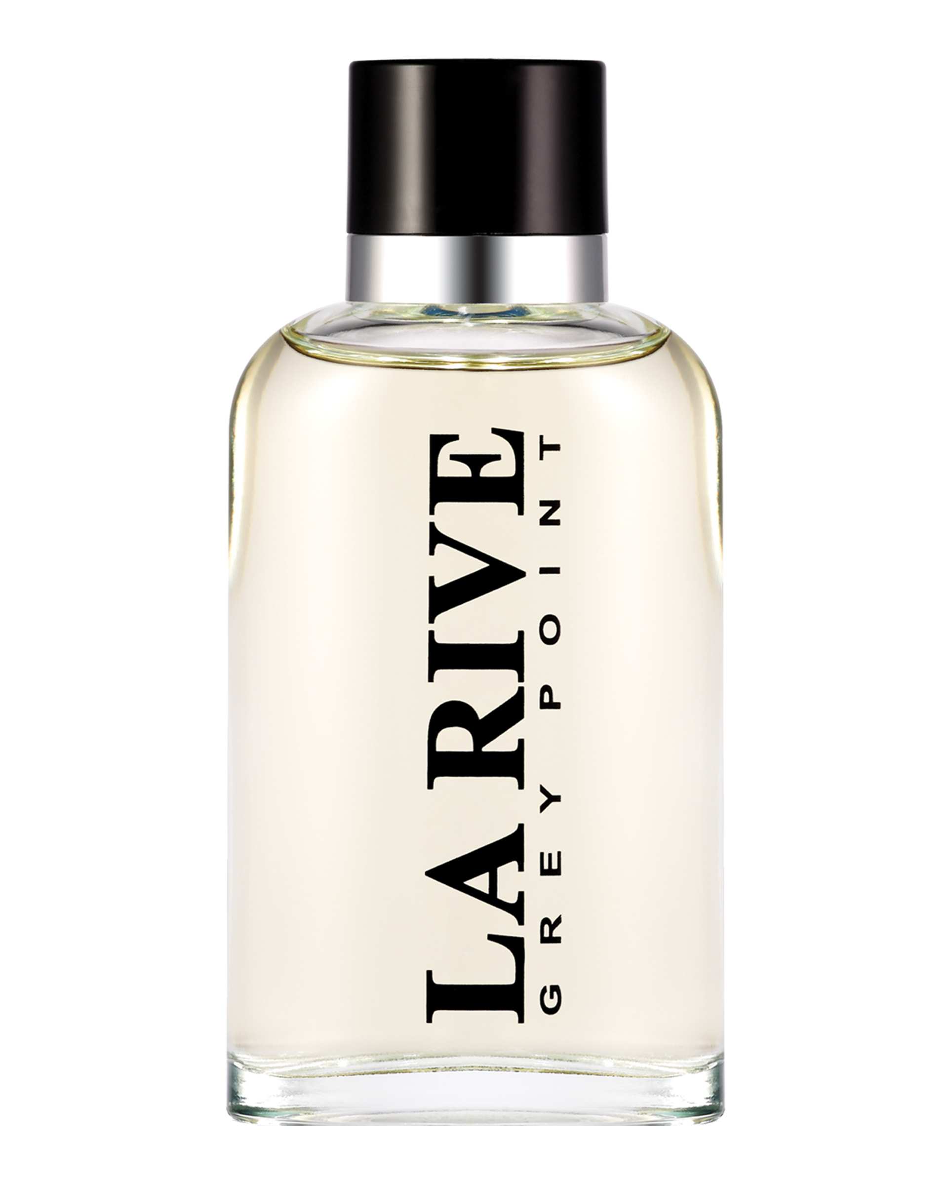 عطر مردانه لاریو Grey Point EDT 90ml La Rive