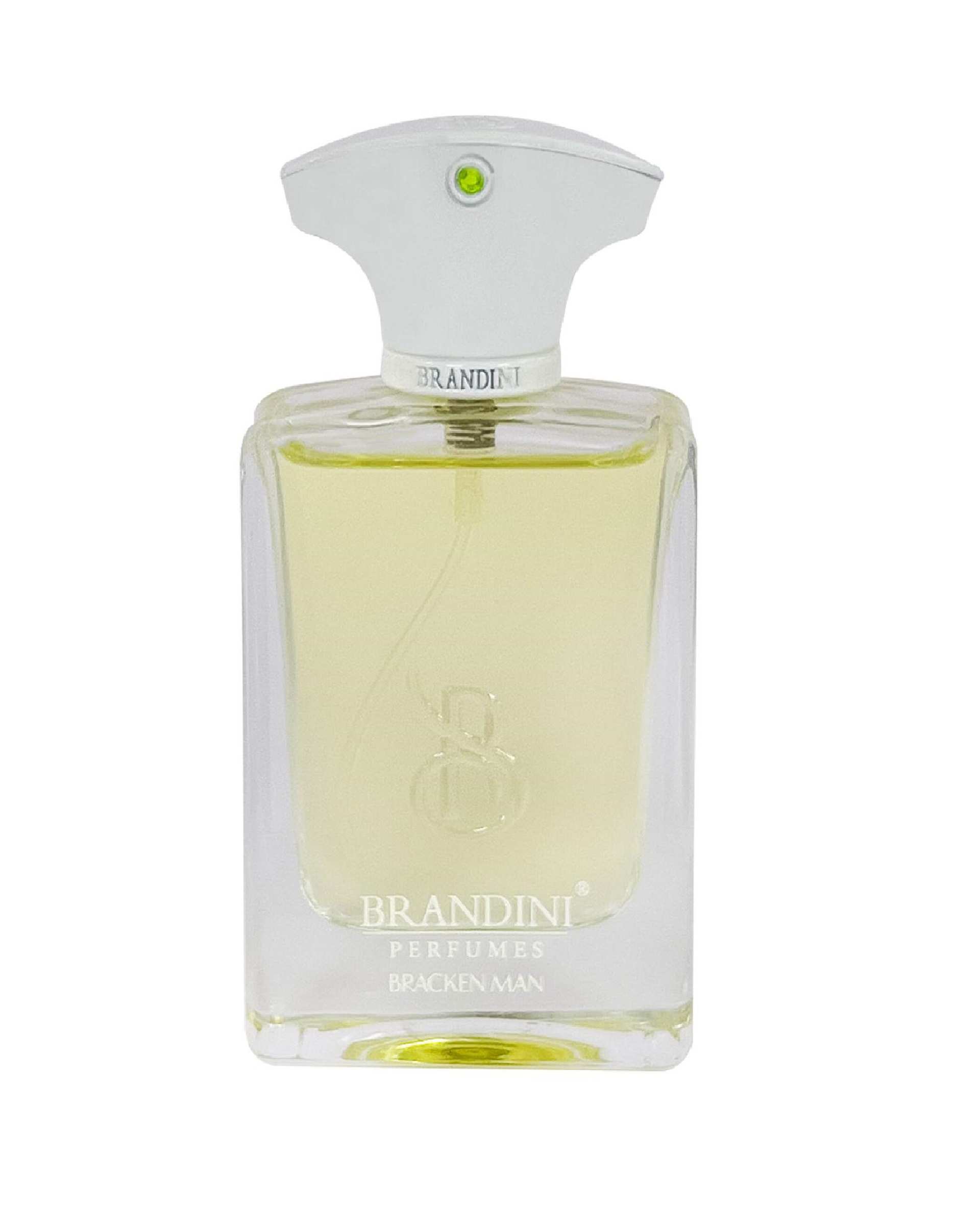 عطر جیبی مردانه برندینی Amouage Bracken Man EDP 33ml Brandini