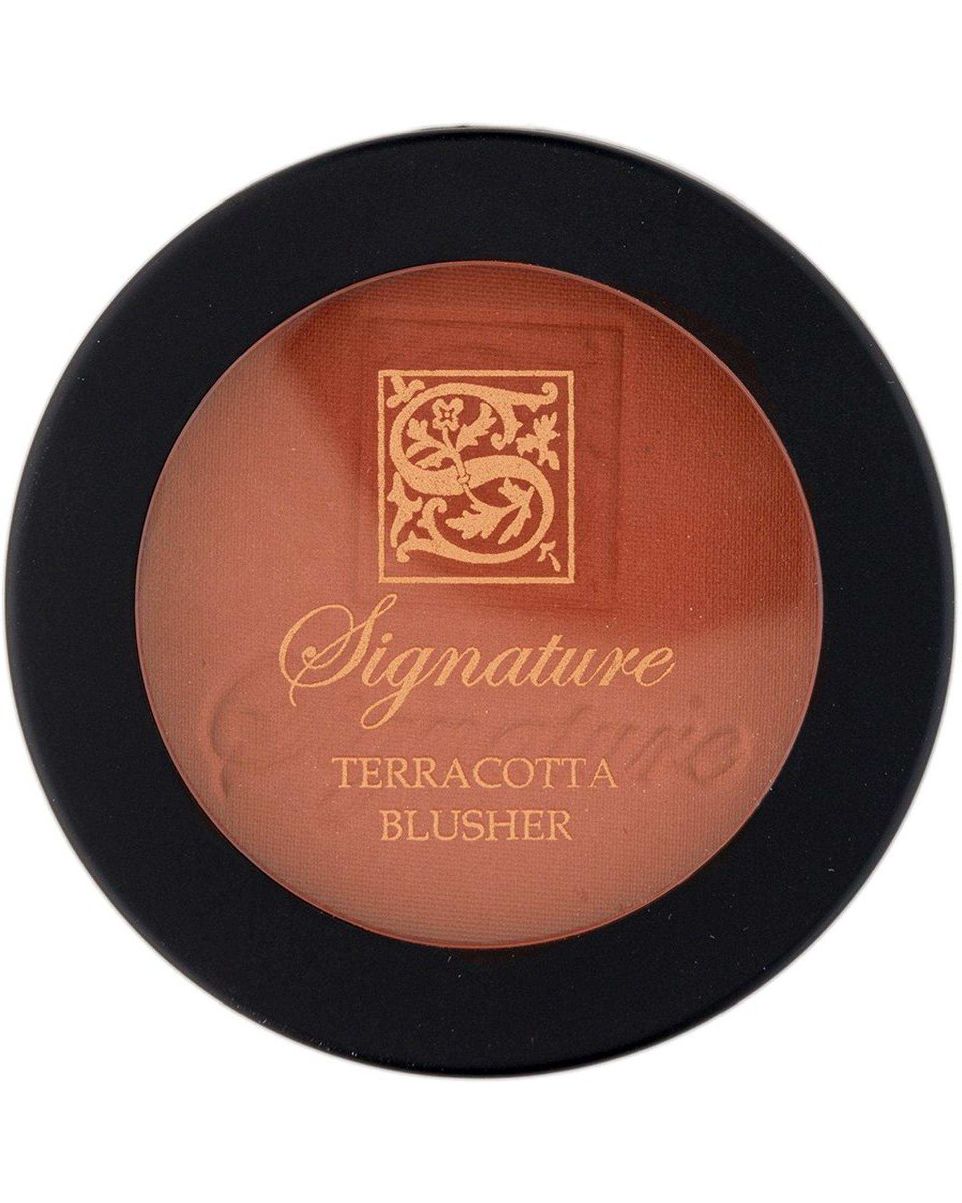 رژگونه سیگنیچر Signature شماره 65 حجم 10 گرم