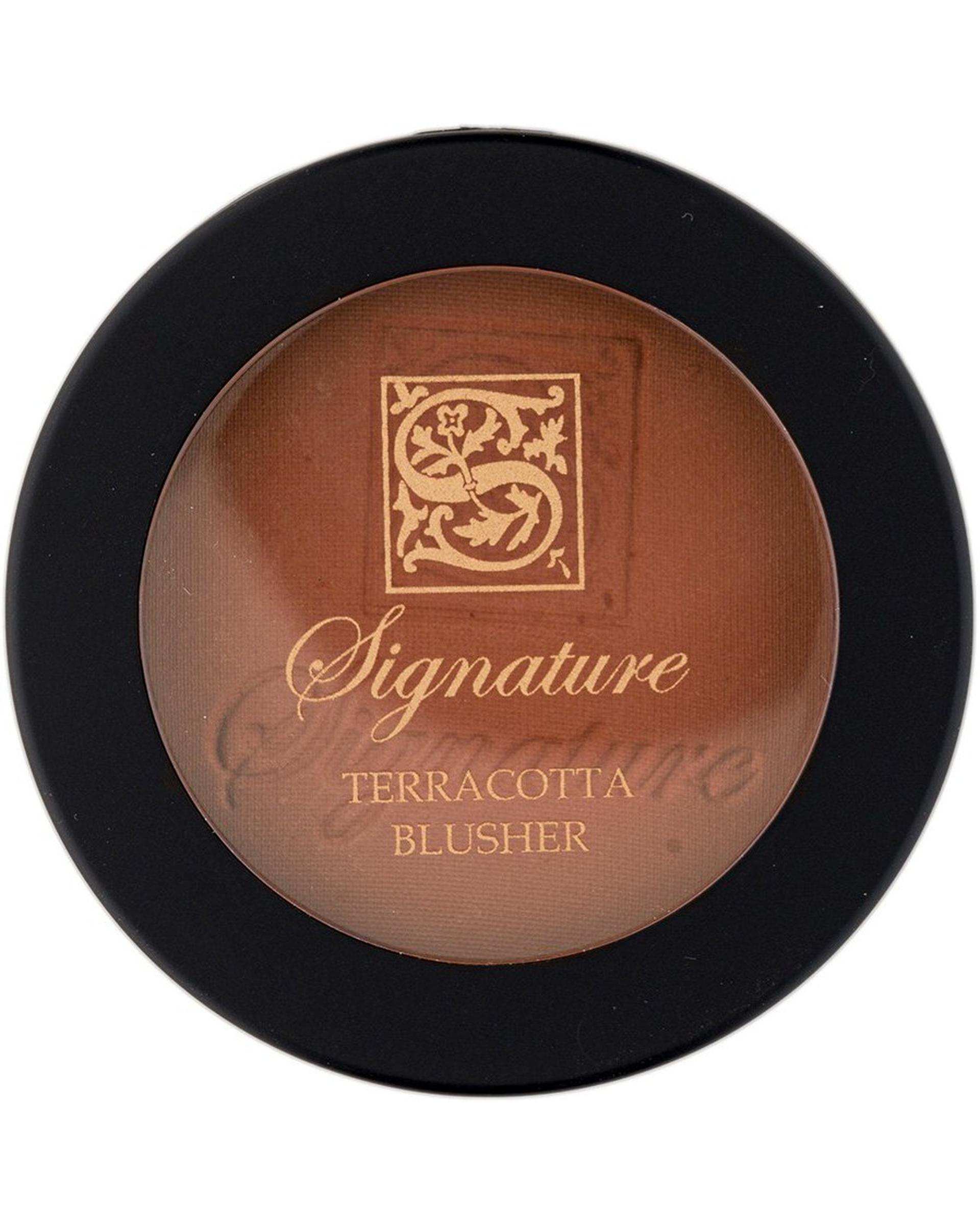 رژگونه سیگنیچر Signature شماره 67 حجم 10 گرم