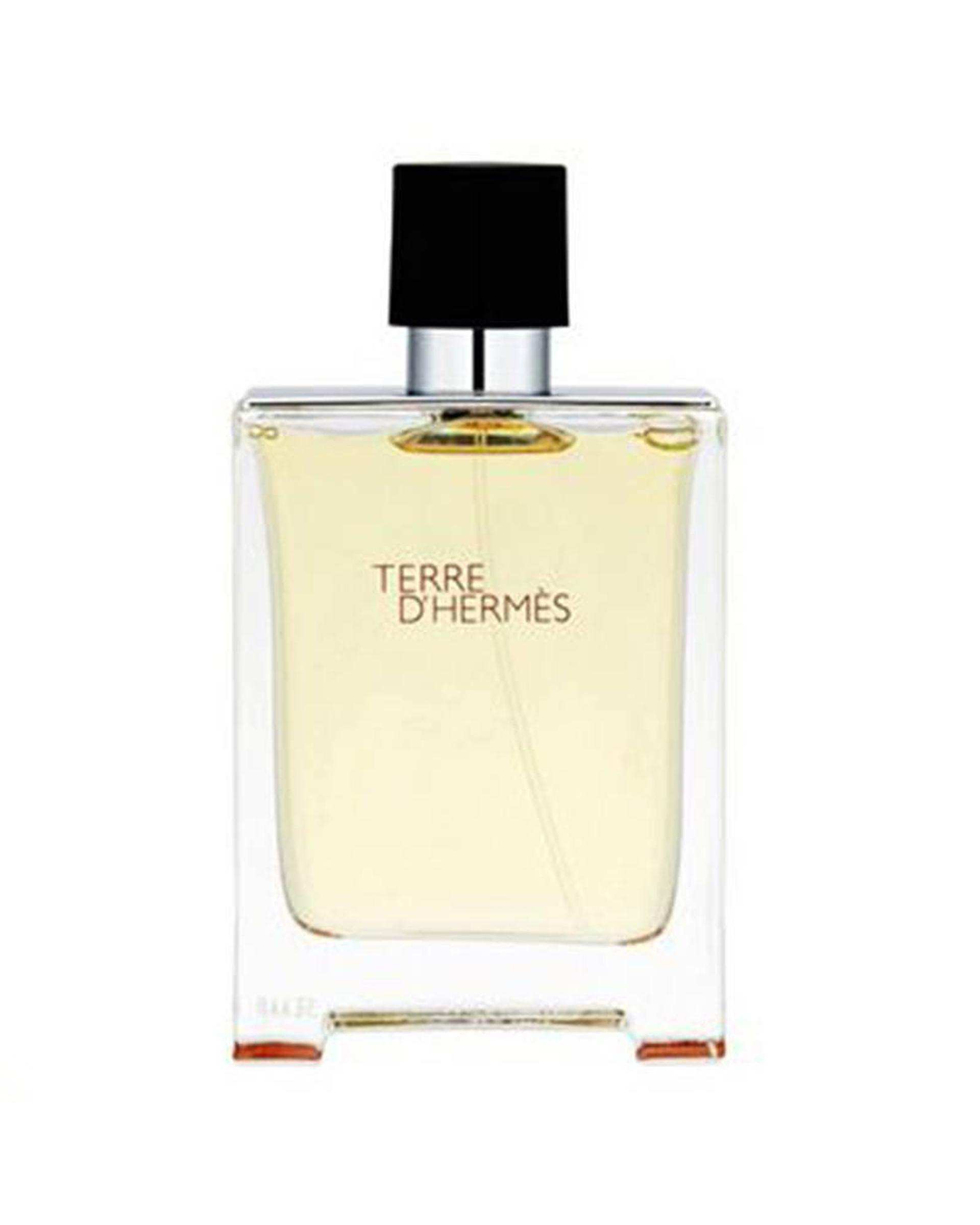 عطر مردانه‌ نایس پاپت Nice Puppet مدل Terre Dhernes حجم 100ml