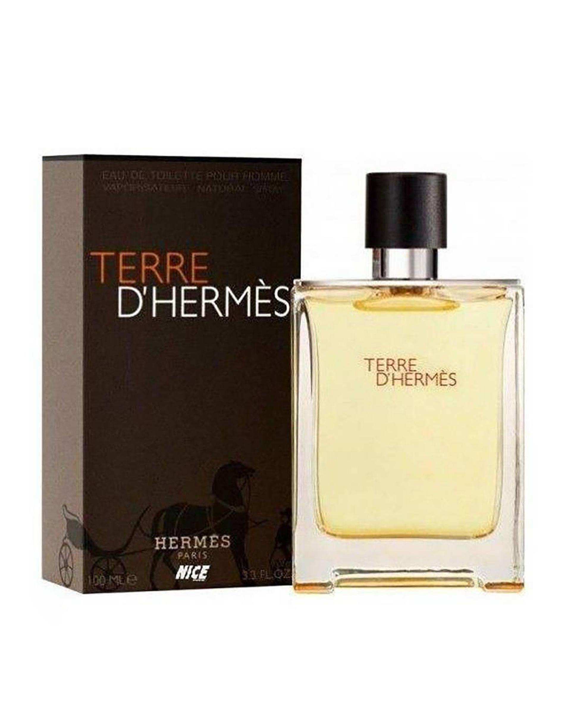 عطر مردانه‌ نایس پاپت Nice Puppet مدل Terre Dhernes حجم 100ml