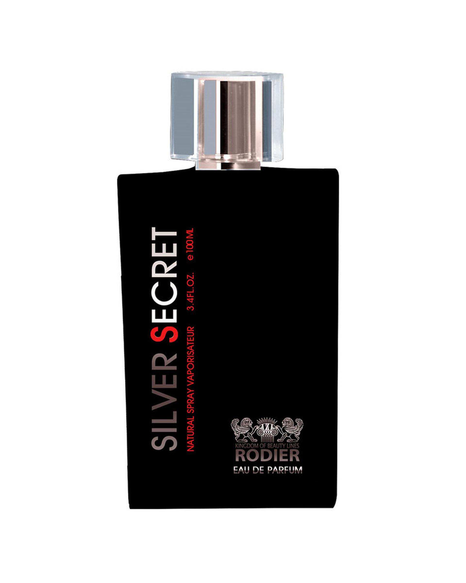 عطر مردانه رودیر Rodier مدل Silver Secret حجم 100ml