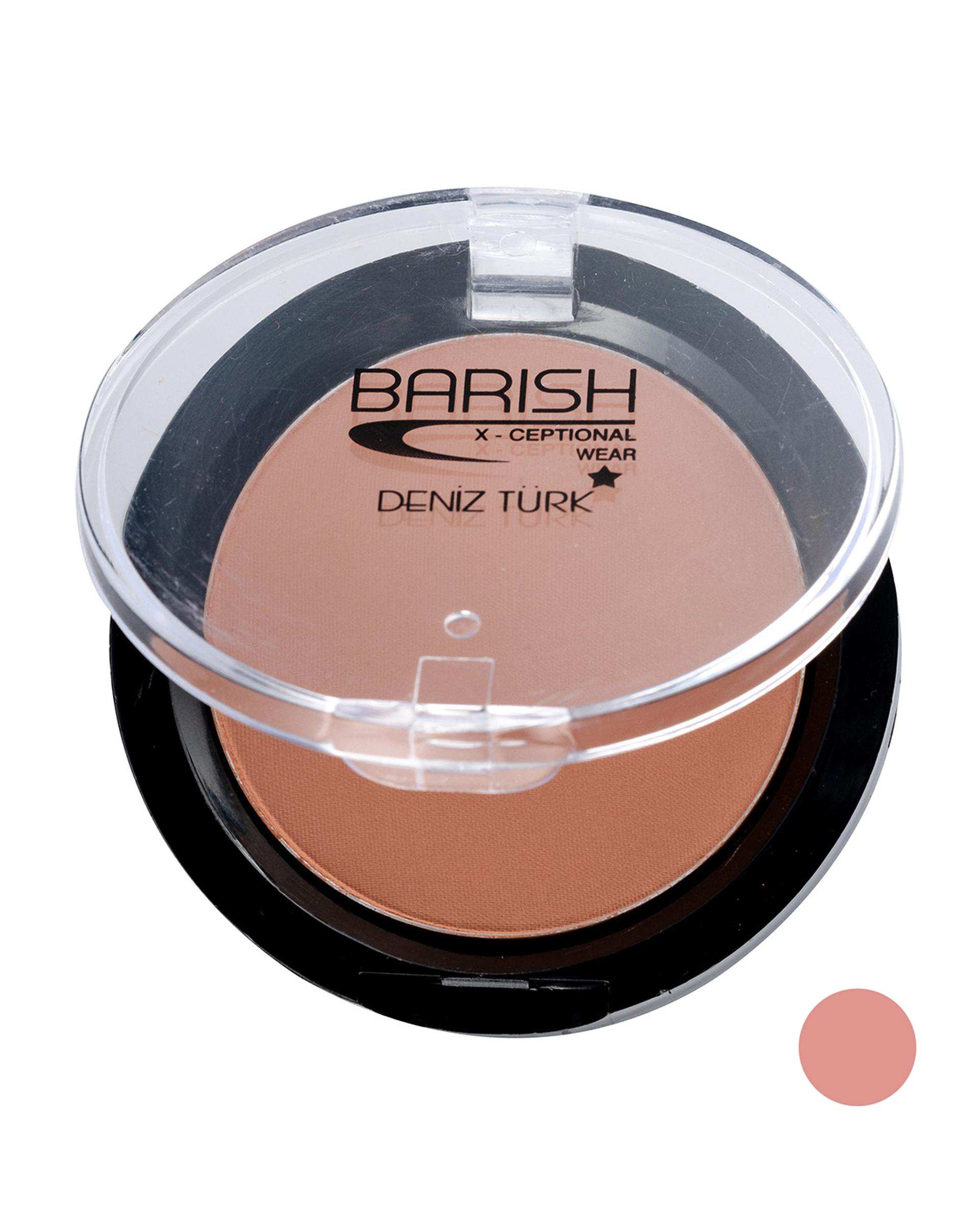 رژگونه مات باریش Barish شماره 504
