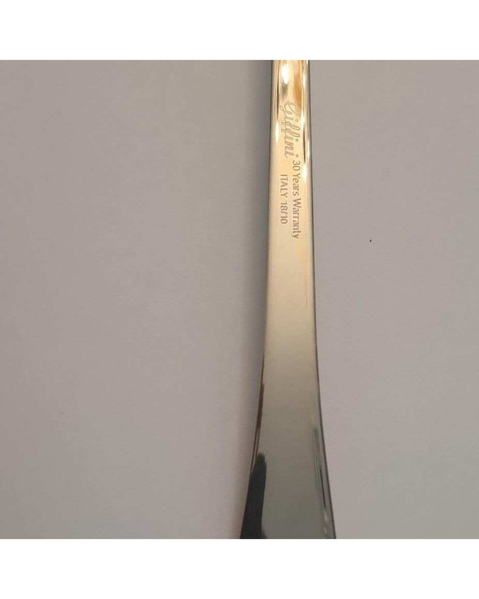 قاشق خورشت خوری استیل جی فی نی GIFFINI مدل S_641