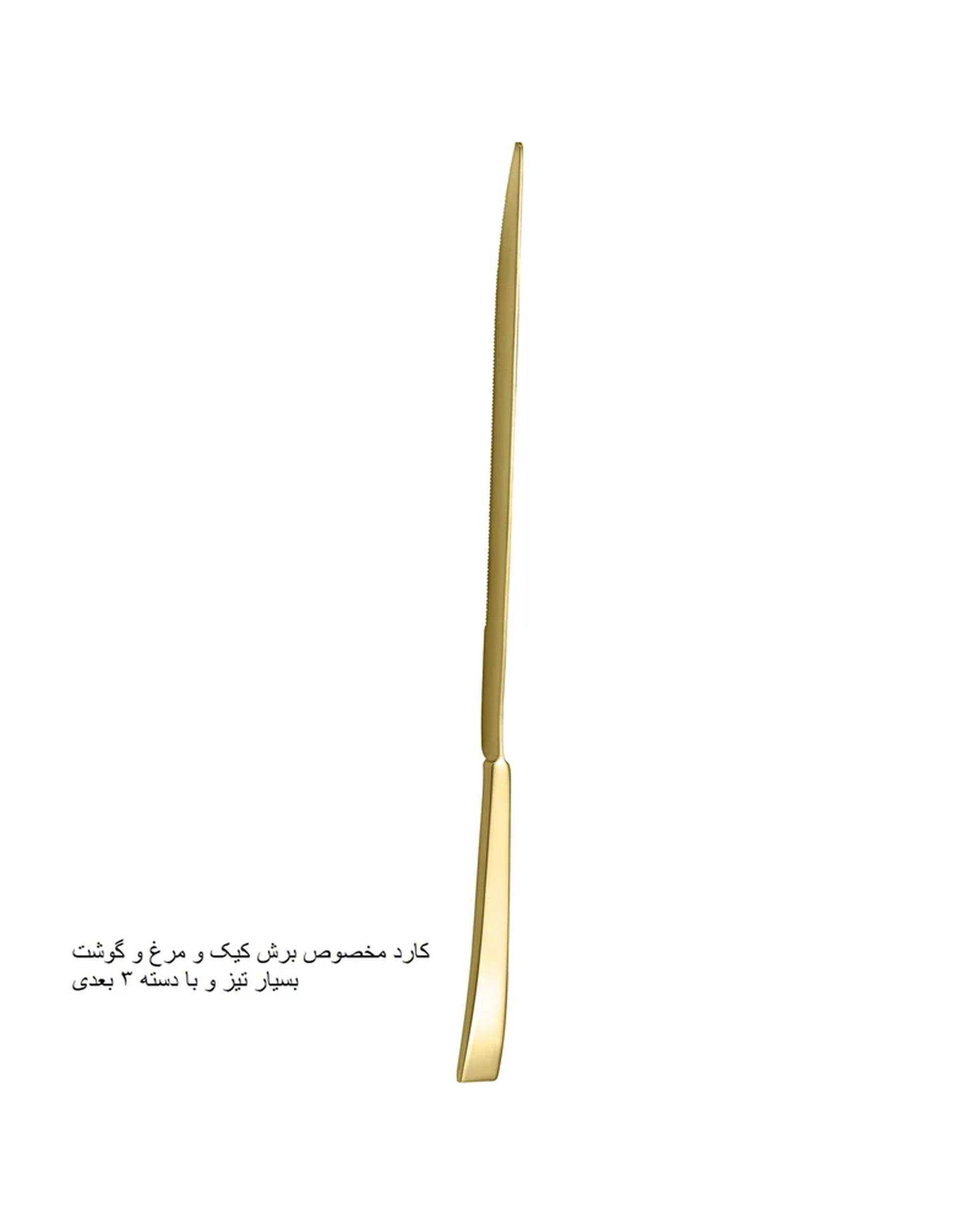 سرویس قاشق و چنگال 141 پارچه طلایی جی فی نی GIFFINI مدل R-941 لاکچری
