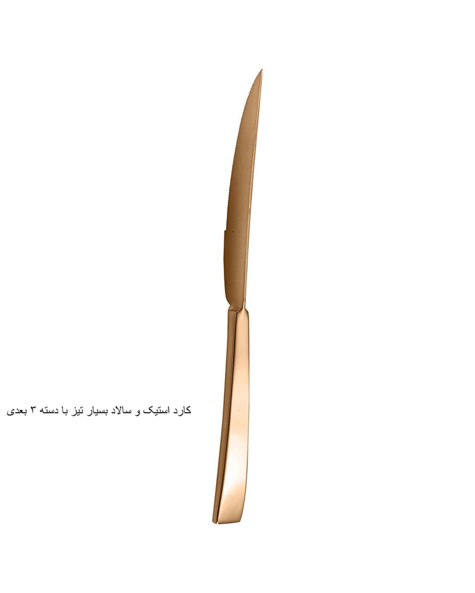 سرویس قاشق و چنگال 141 پارچه رز گلد جی فی نی GIFFINI مدل G-741 لاکچری