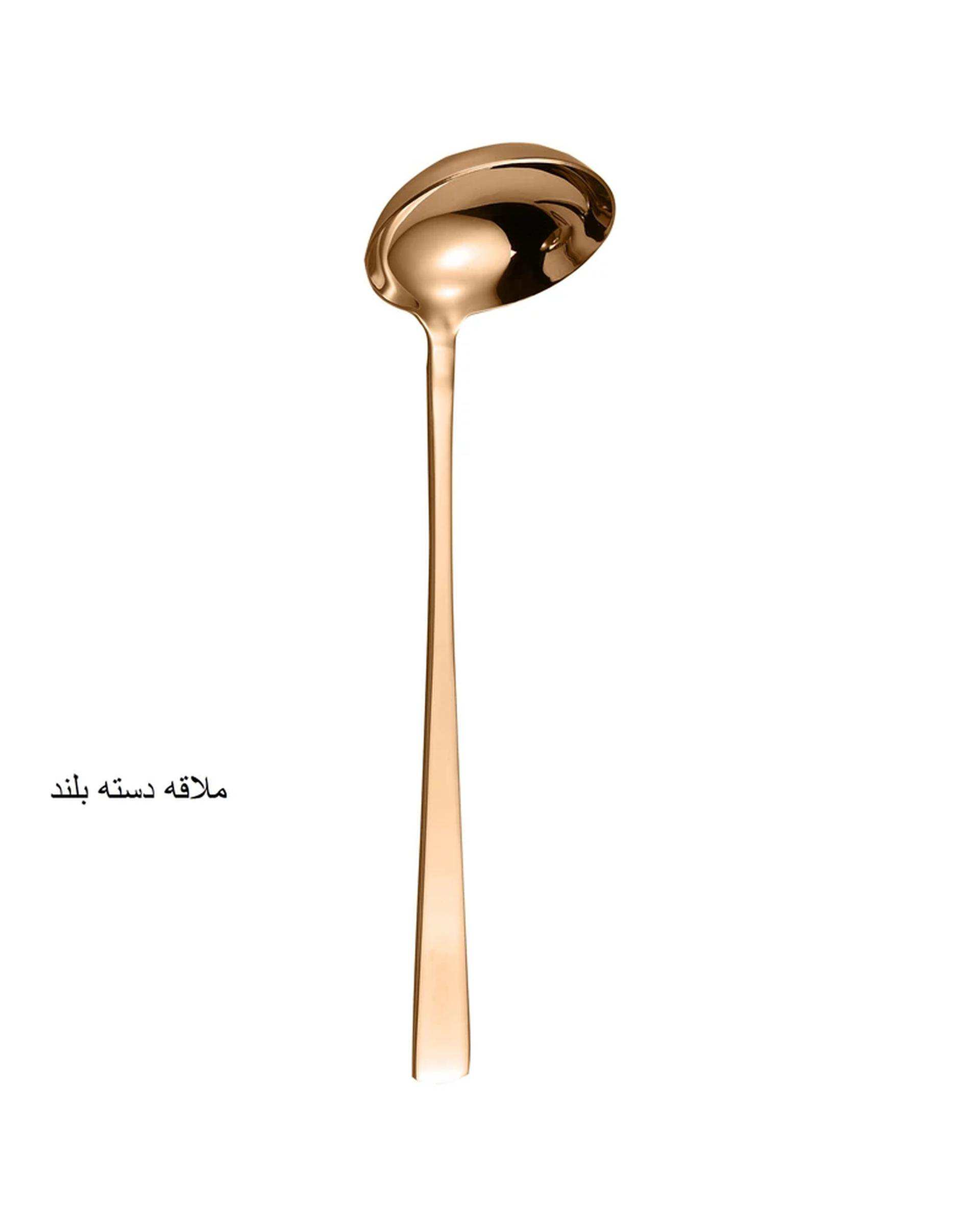 سرویس قاشق و چنگال 141 پارچه رز گلد جی فی نی GIFFINI مدل G-741 لاکچری