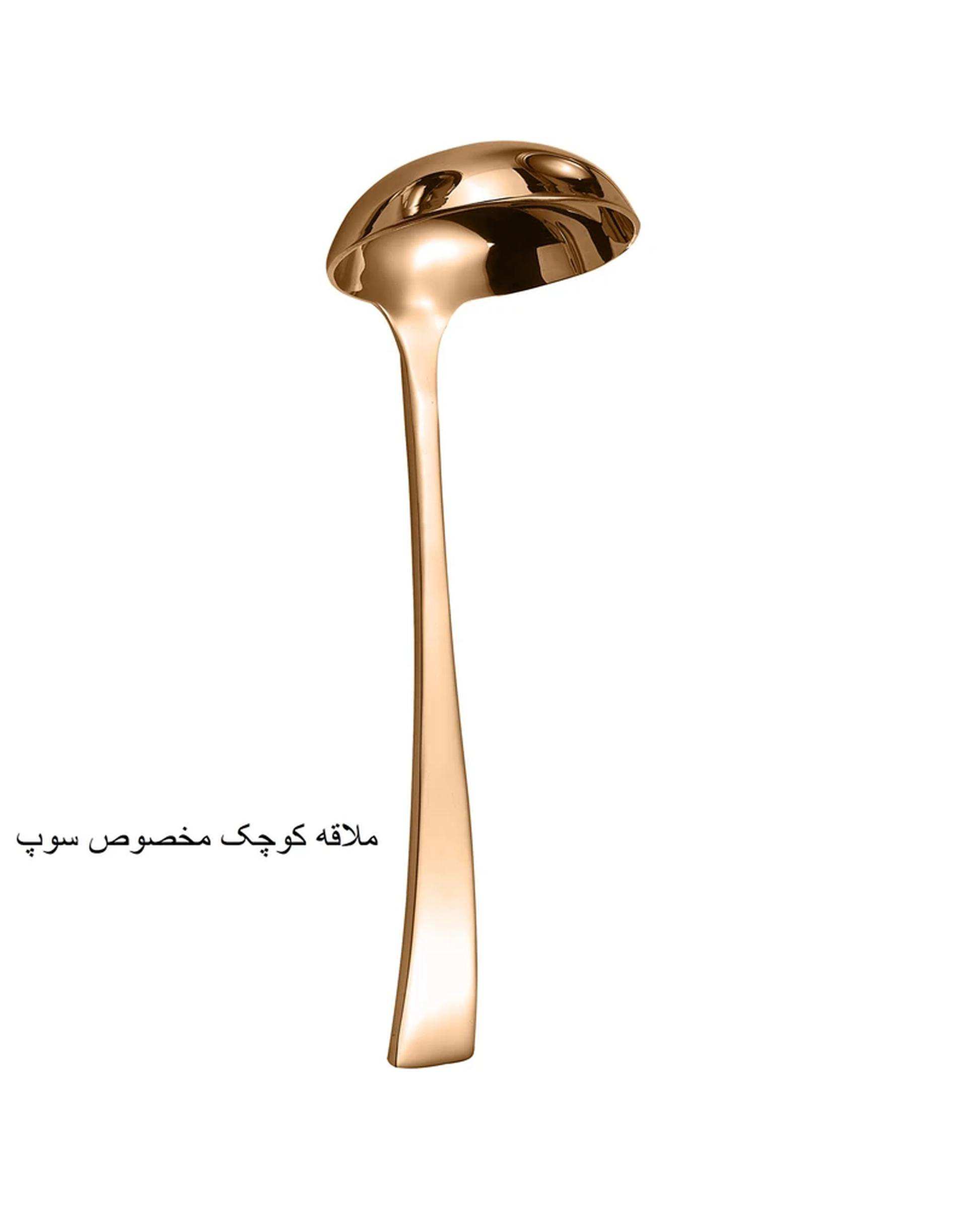 سرویس قاشق و چنگال 141 پارچه رز گلد جی فی نی GIFFINI مدل G-741 لاکچری