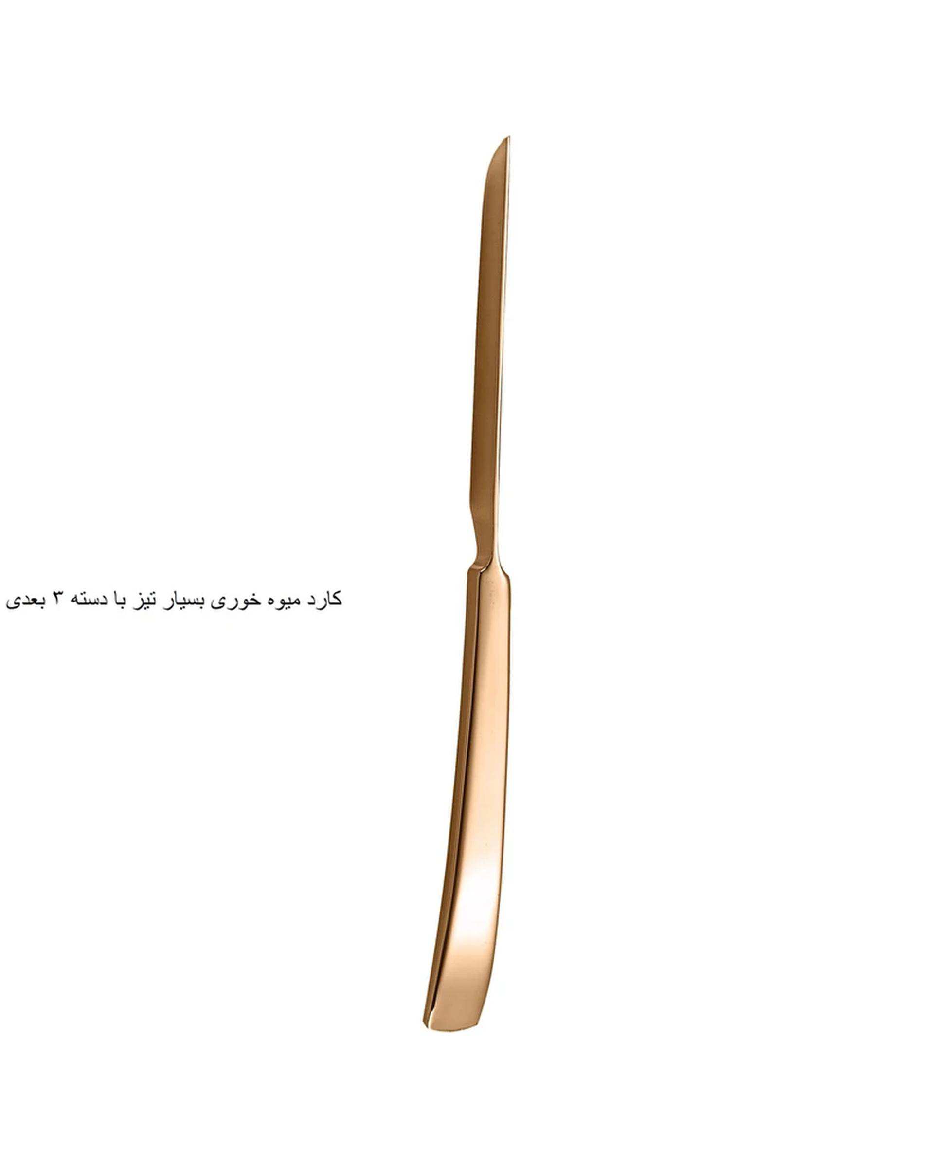 سرویس قاشق و چنگال 141 پارچه رز گلد جی فی نی GIFFINI مدل G-741 لاکچری