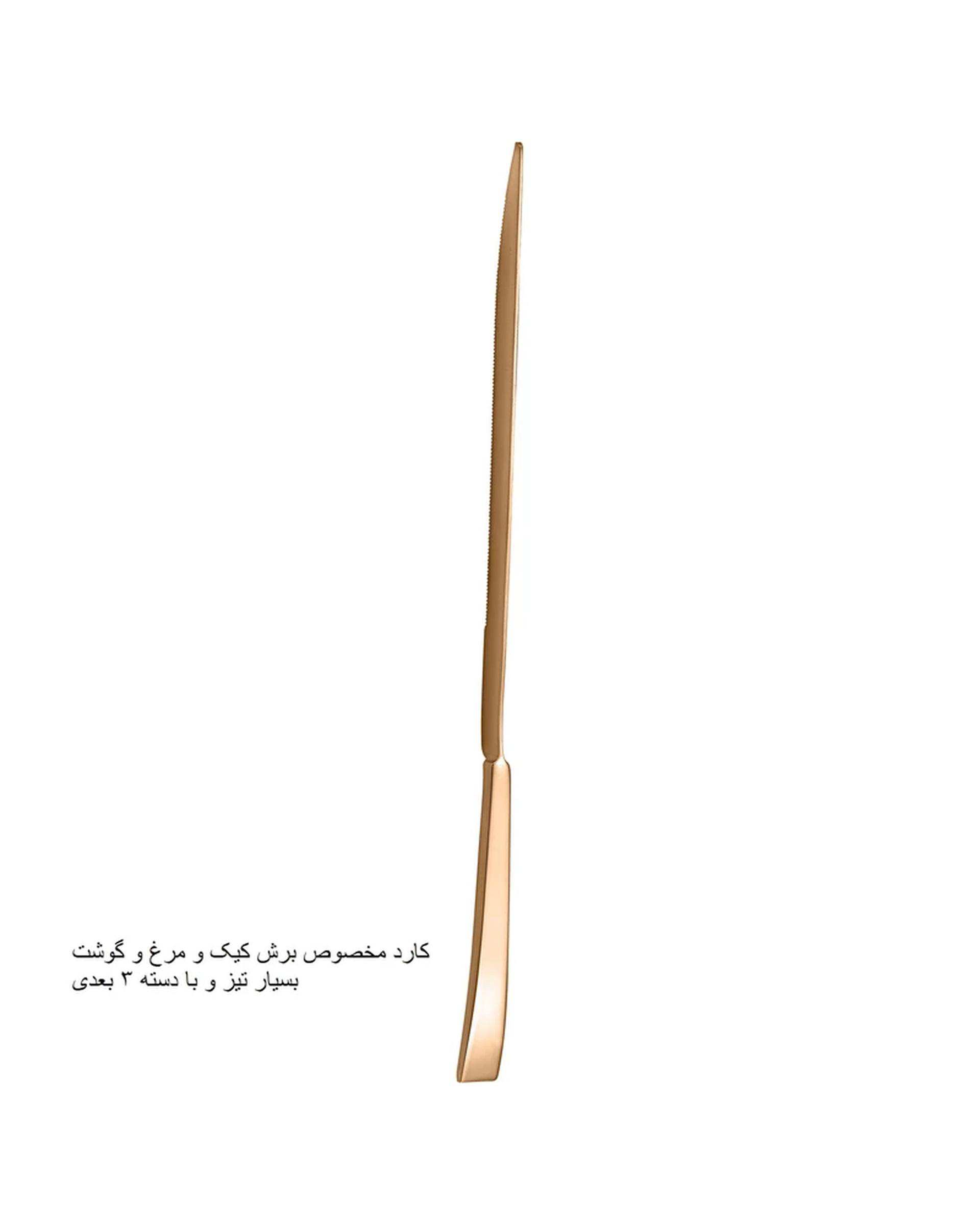 سرویس قاشق و چنگال 141 پارچه رز گلد جی فی نی GIFFINI مدل G-741 لاکچری