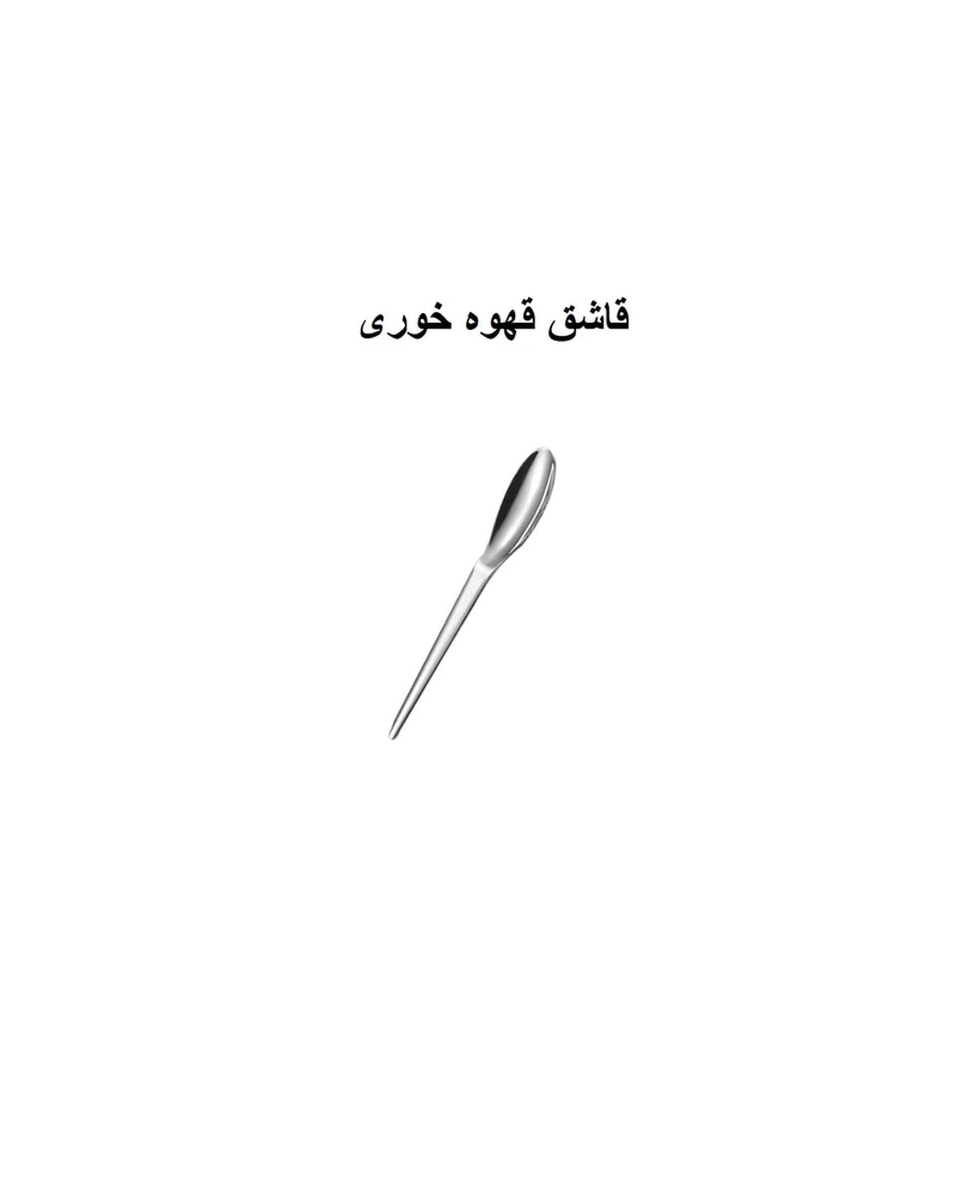 سرویس قاشق و چنگال 6 پارچه استیل جی فی نی GIFFINI مدل 194 رژیمی