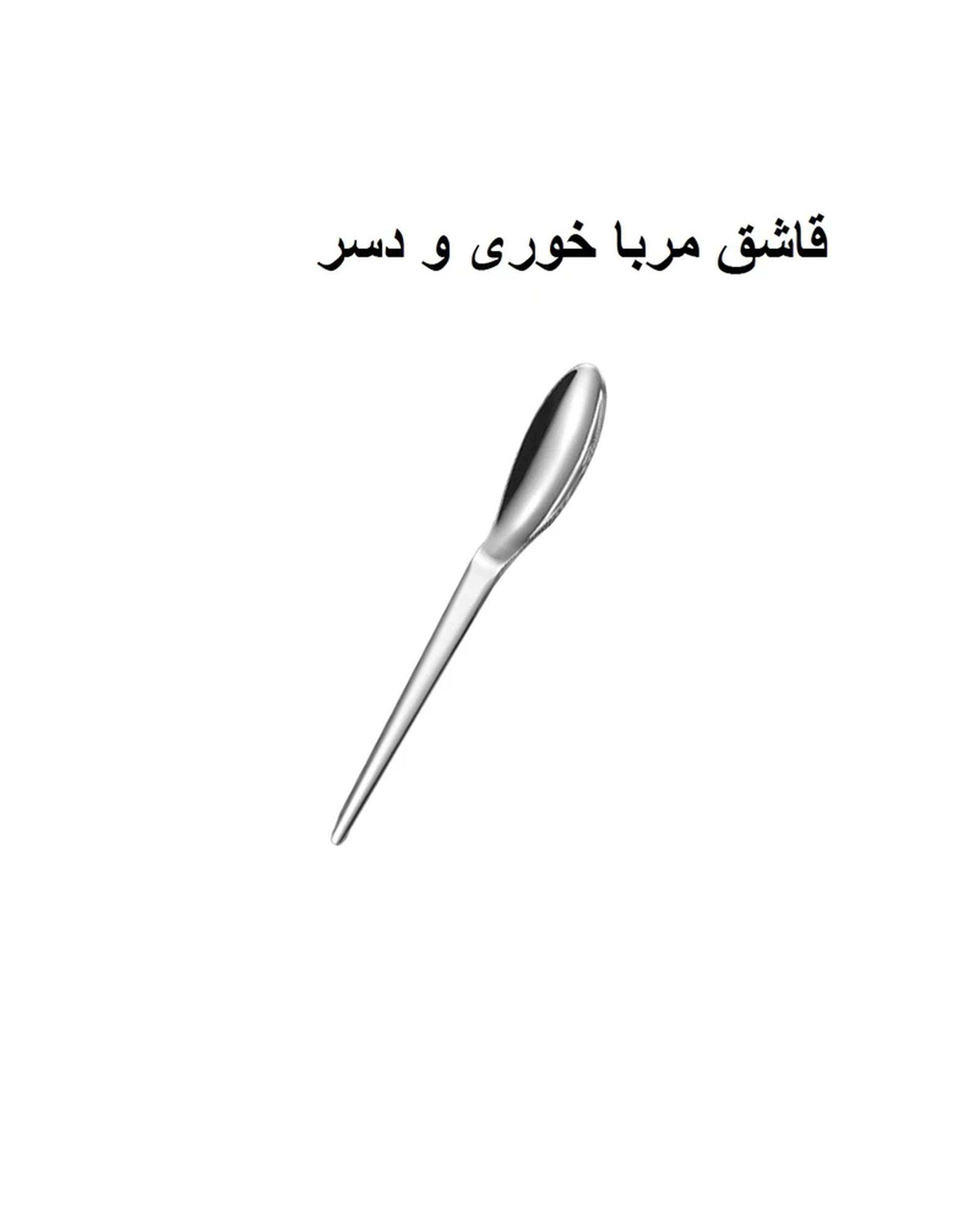 سرویس قاشق و چنگال 6 پارچه استیل جی فی نی GIFFINI مدل 194 رژیمی