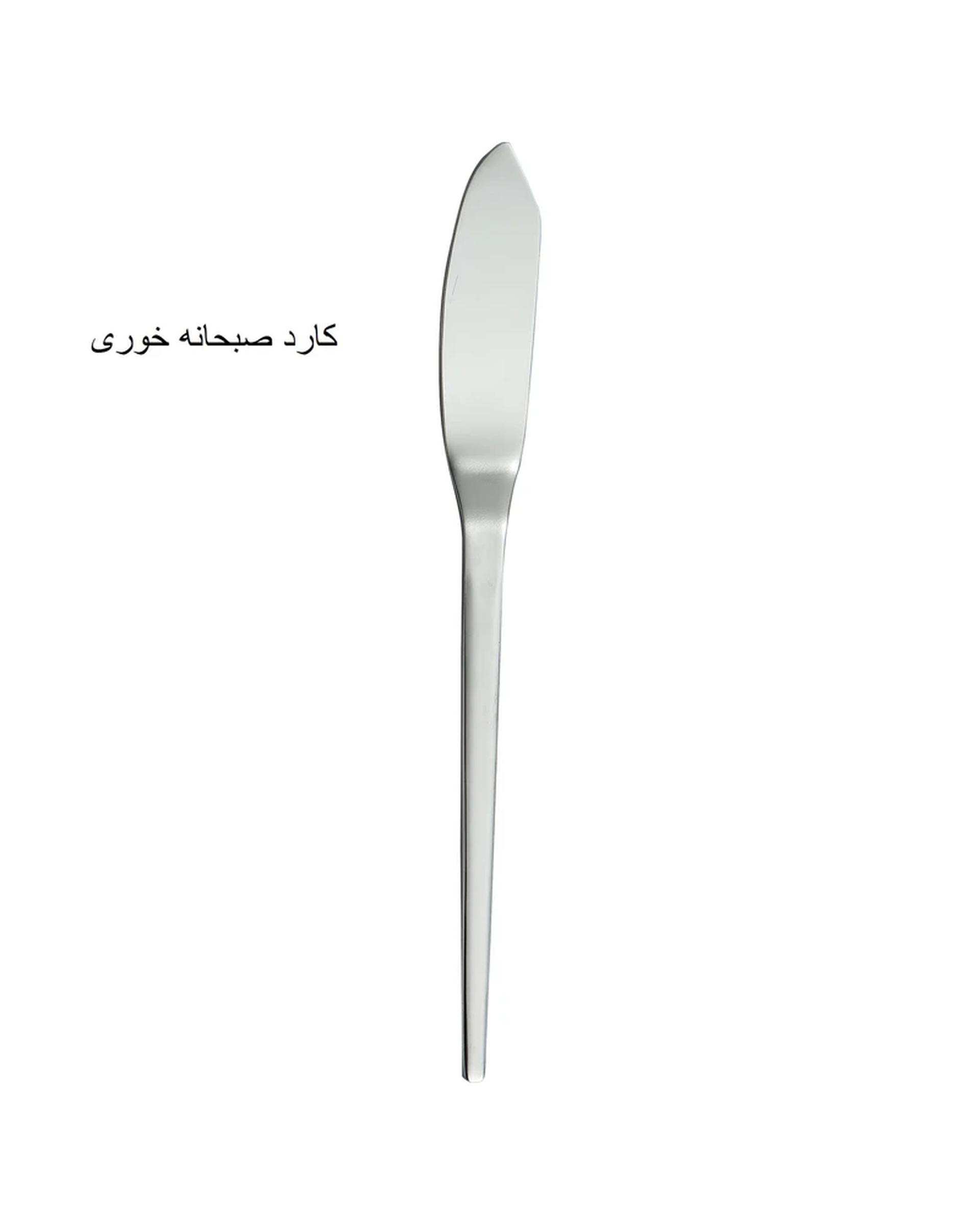 سرویس قاشق و چنگال 10 پارچه استیل جی فی نی GIFFINI مدل G-10
